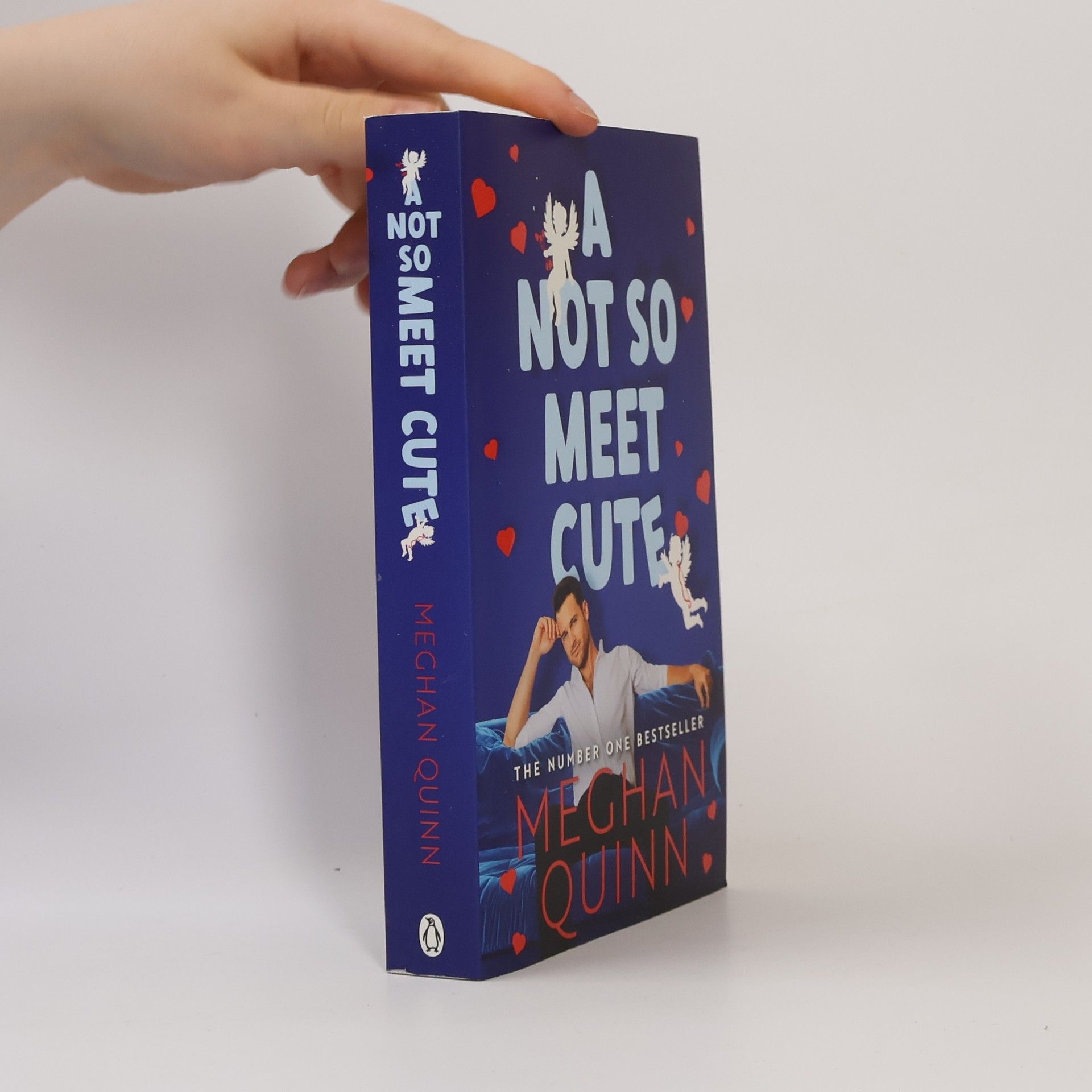 Meghan Quinn A Not So Meet Cute