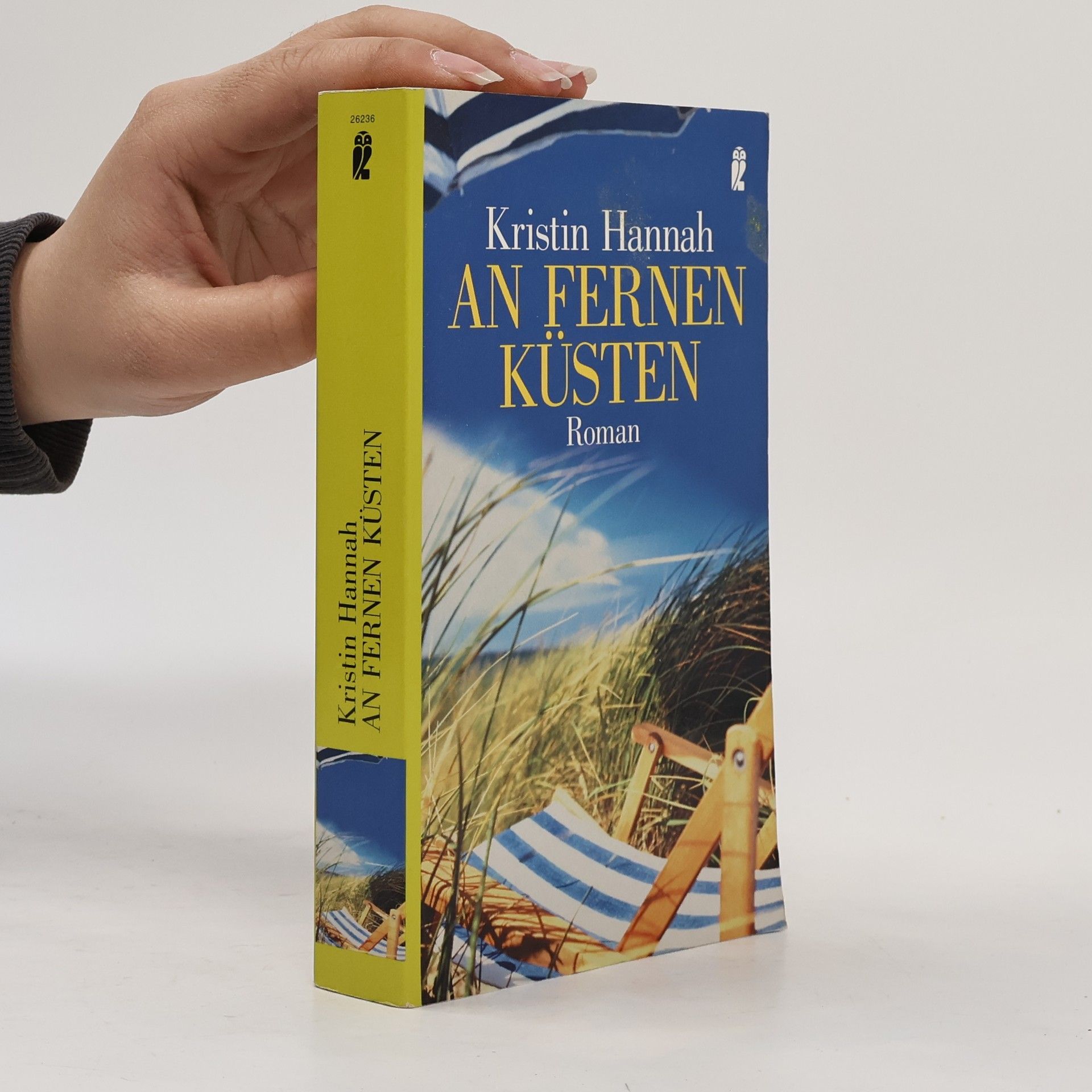 Kristin Hannah An fernen Küsten