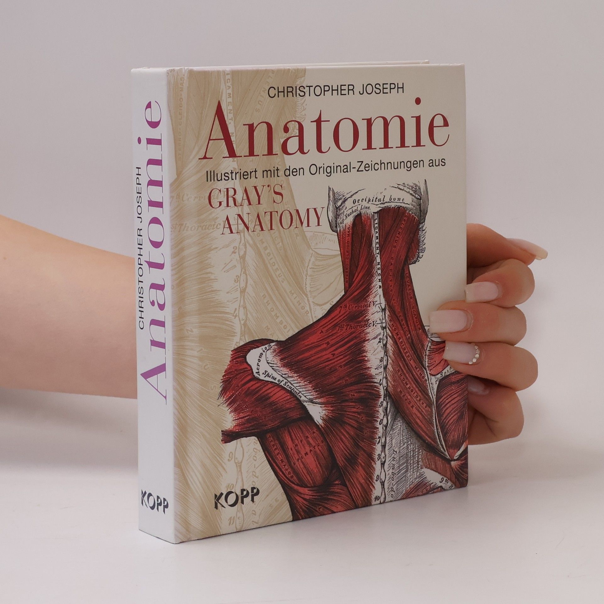 Christopher Joseph Anatomie. Ilustriert mit den Original-Zeichnungen aus Gray's Anatomy