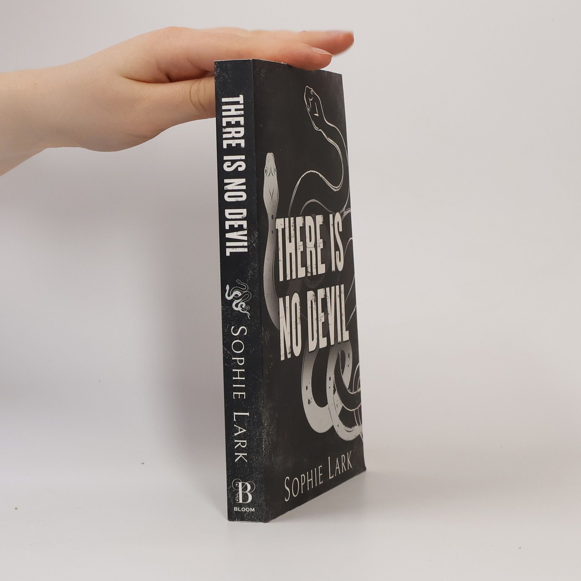 Sophie Lark There Is No Devil