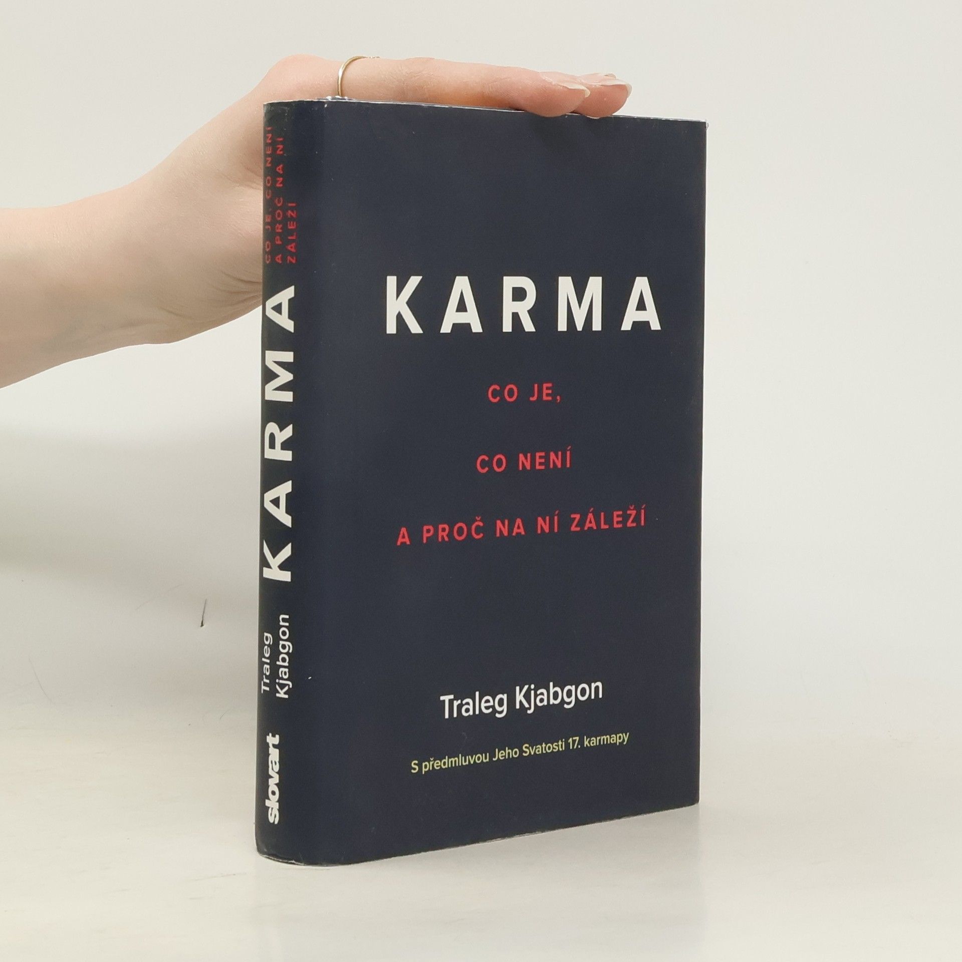 Traleg Kjabgon Karma: Co je, co není a proč na ní záleží