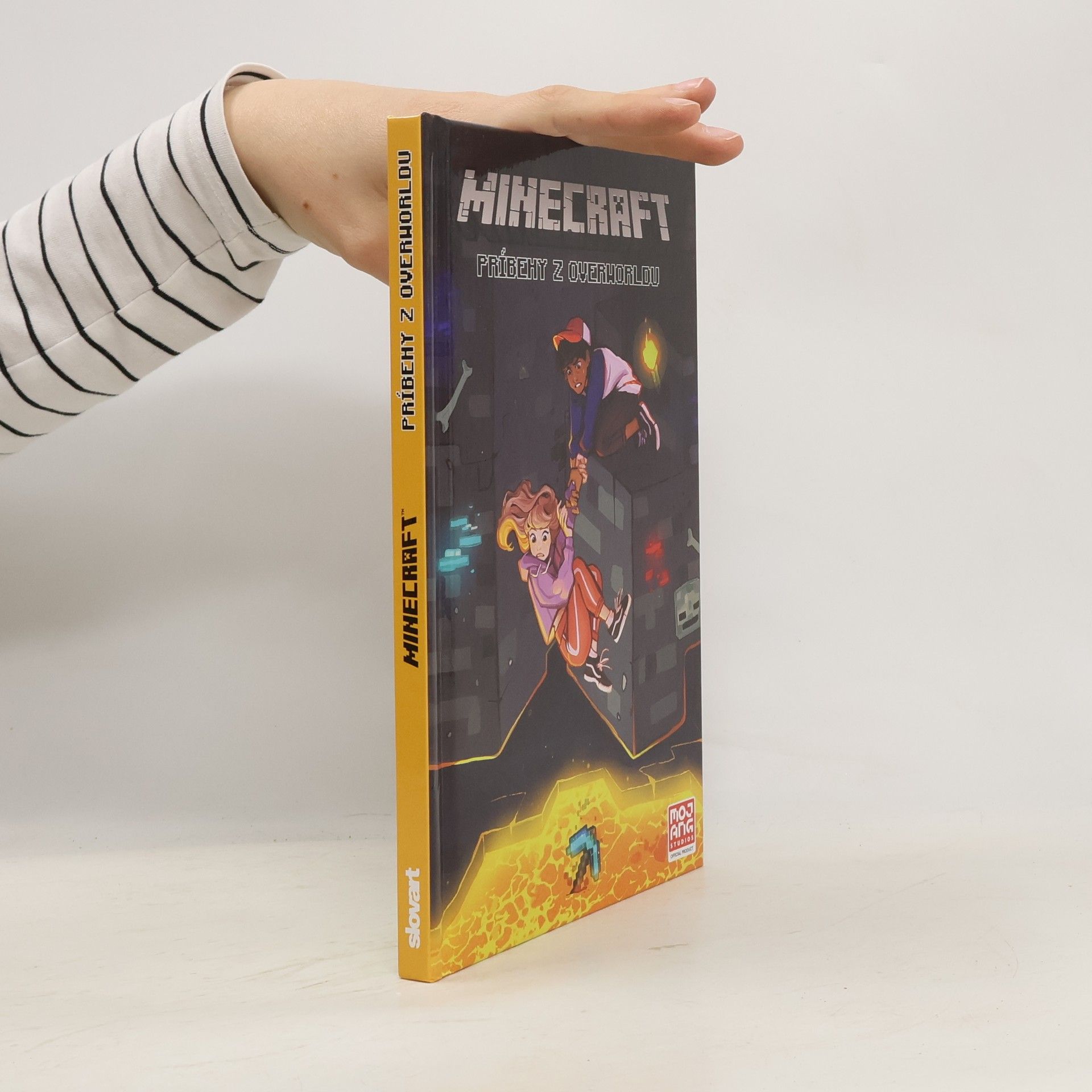 Minecraft: Príbehy z Overworldu