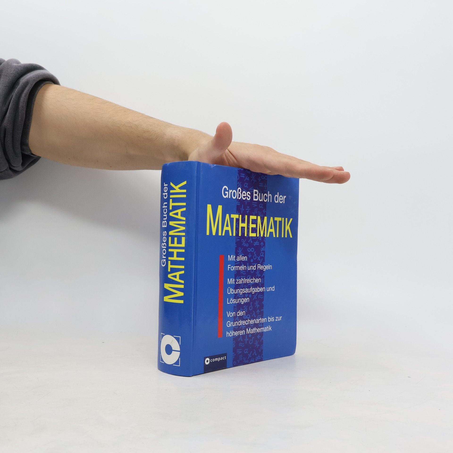 Katja Maria Delventhal Großes Buch der Mathematik