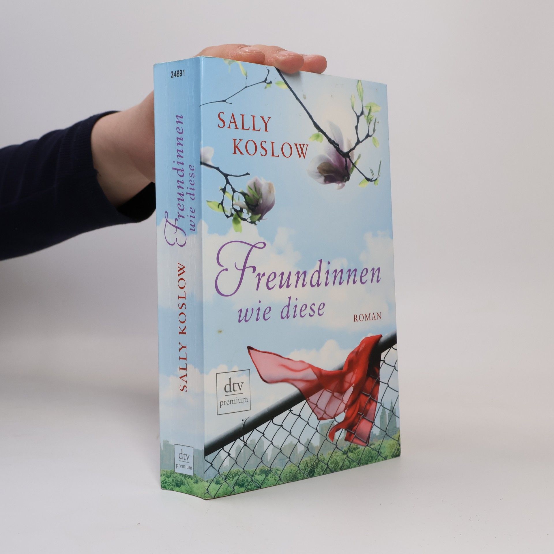 Sally Koslow Freundinnen wie diese