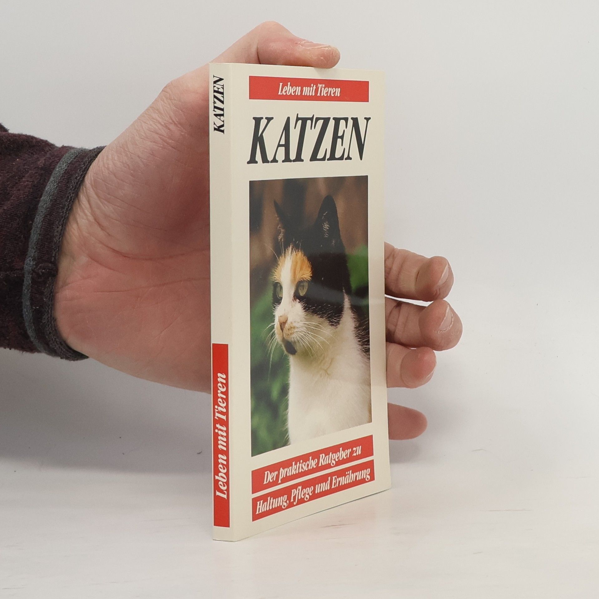 Various authors Katzen