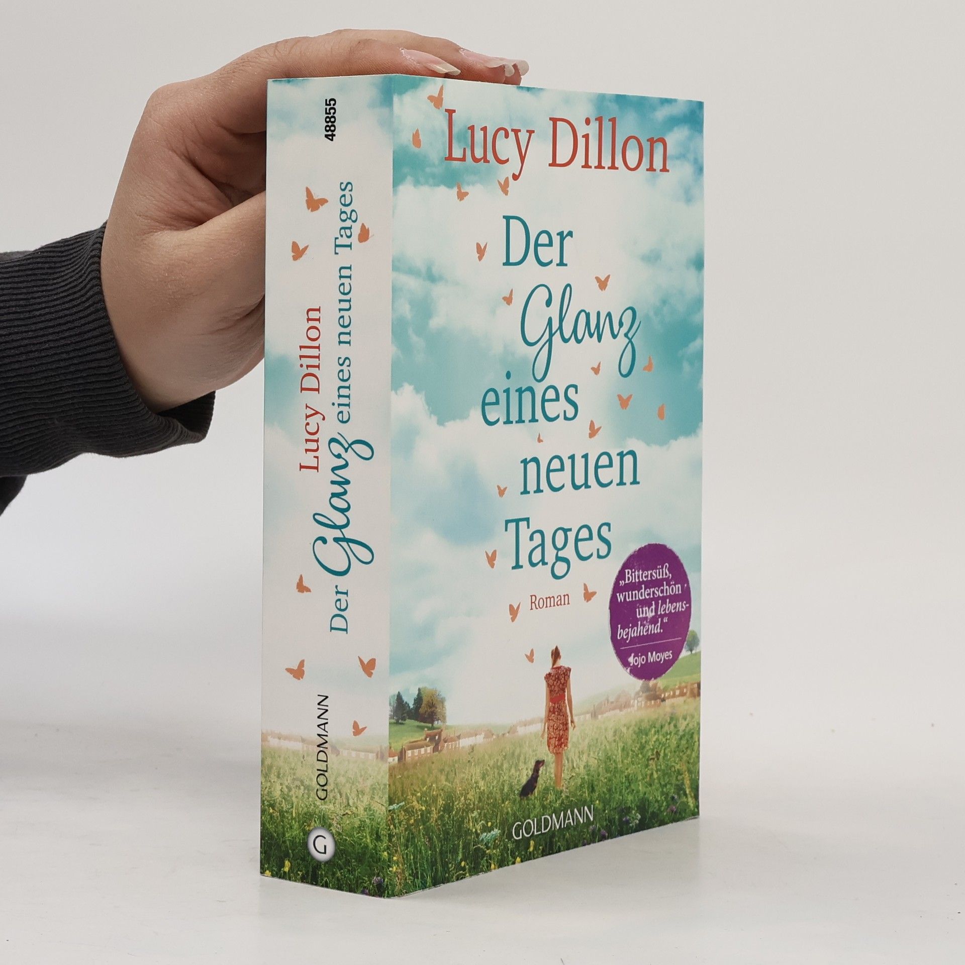 Lucy Dillon Der Glanz eines neuen Tages