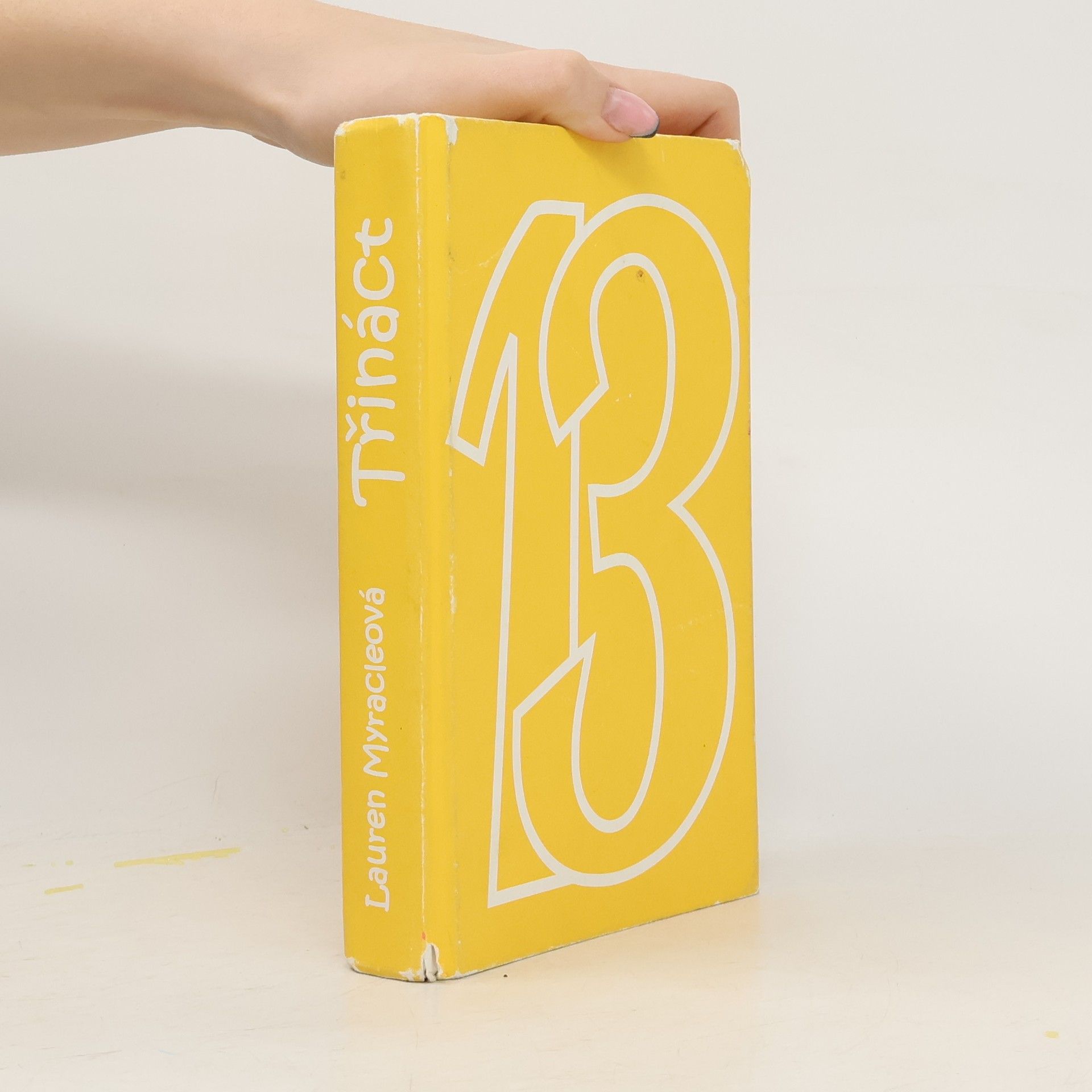 Lauren Myracle Třináct: Třetí díl neobyčejného deníku obyčejné holky