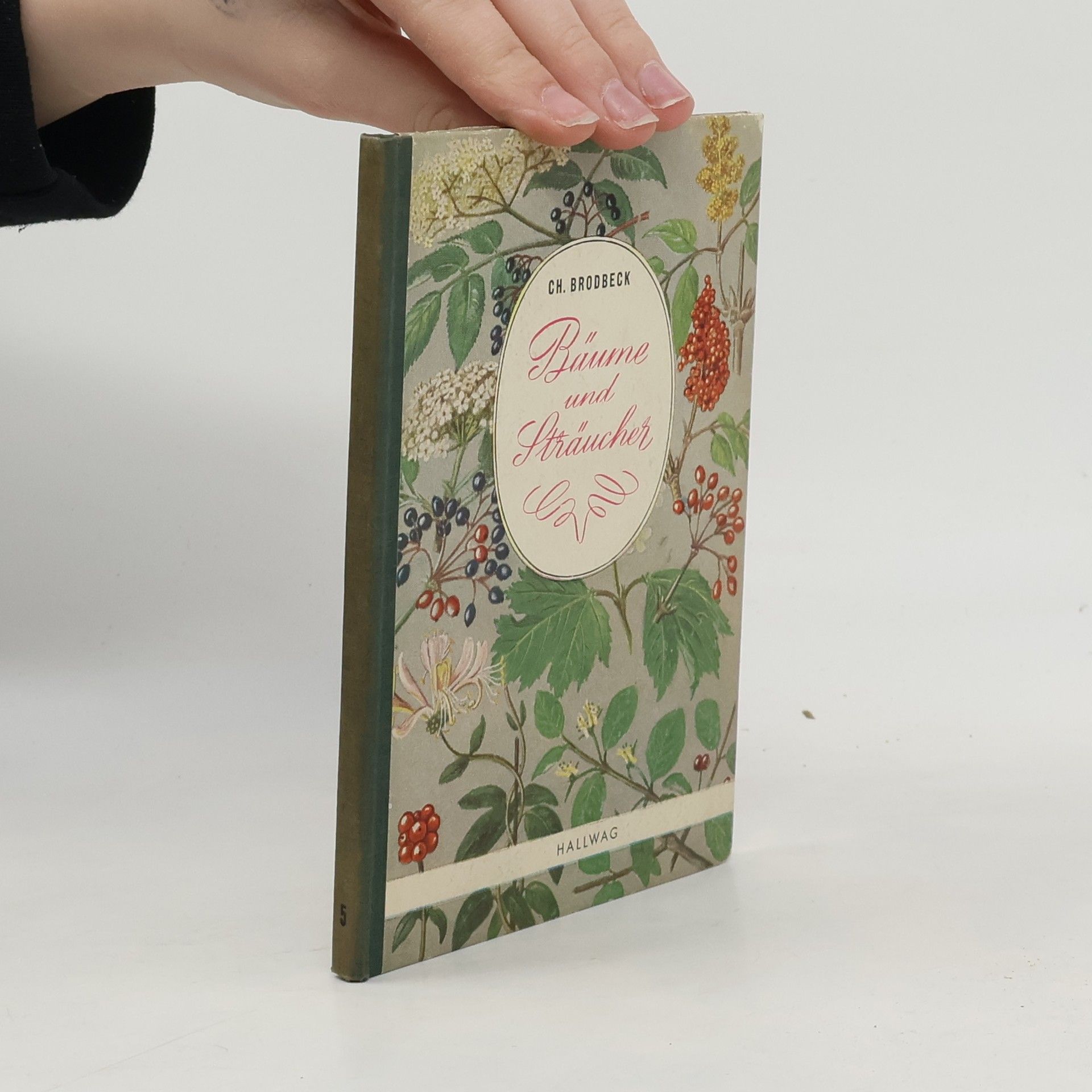 Ch. Brodbeck Bäume und Sträucher