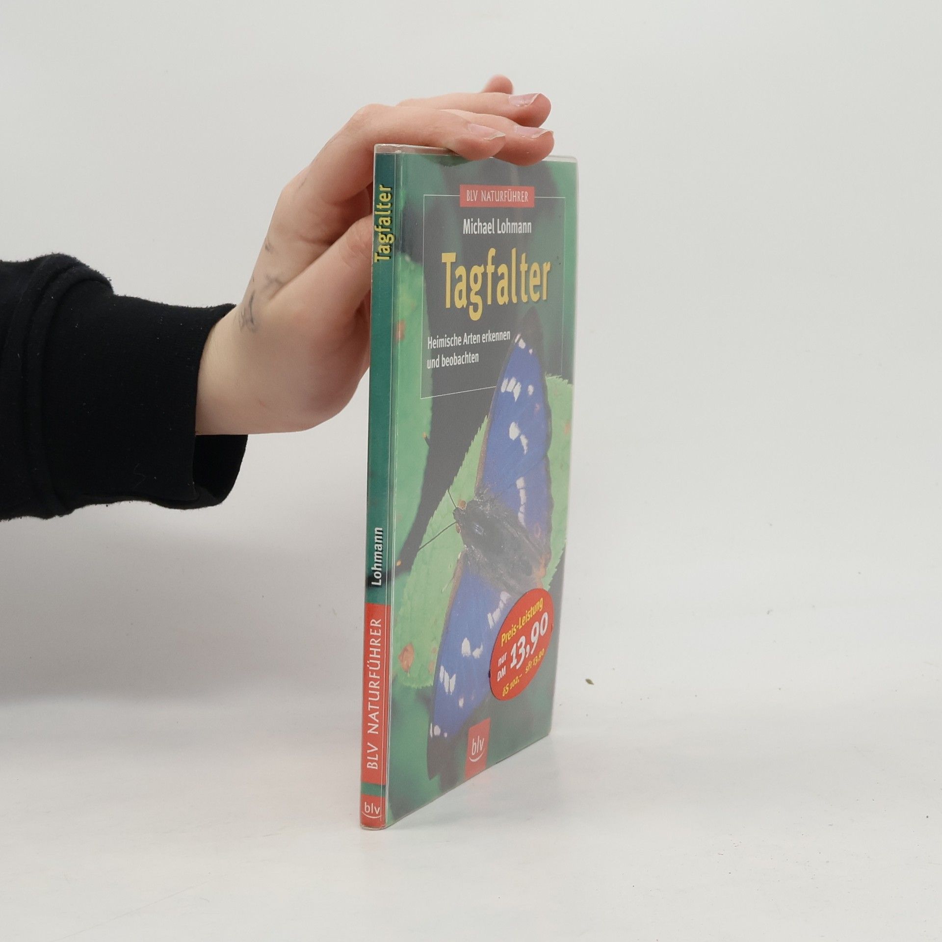 Michael Lohmann Tagfalter
