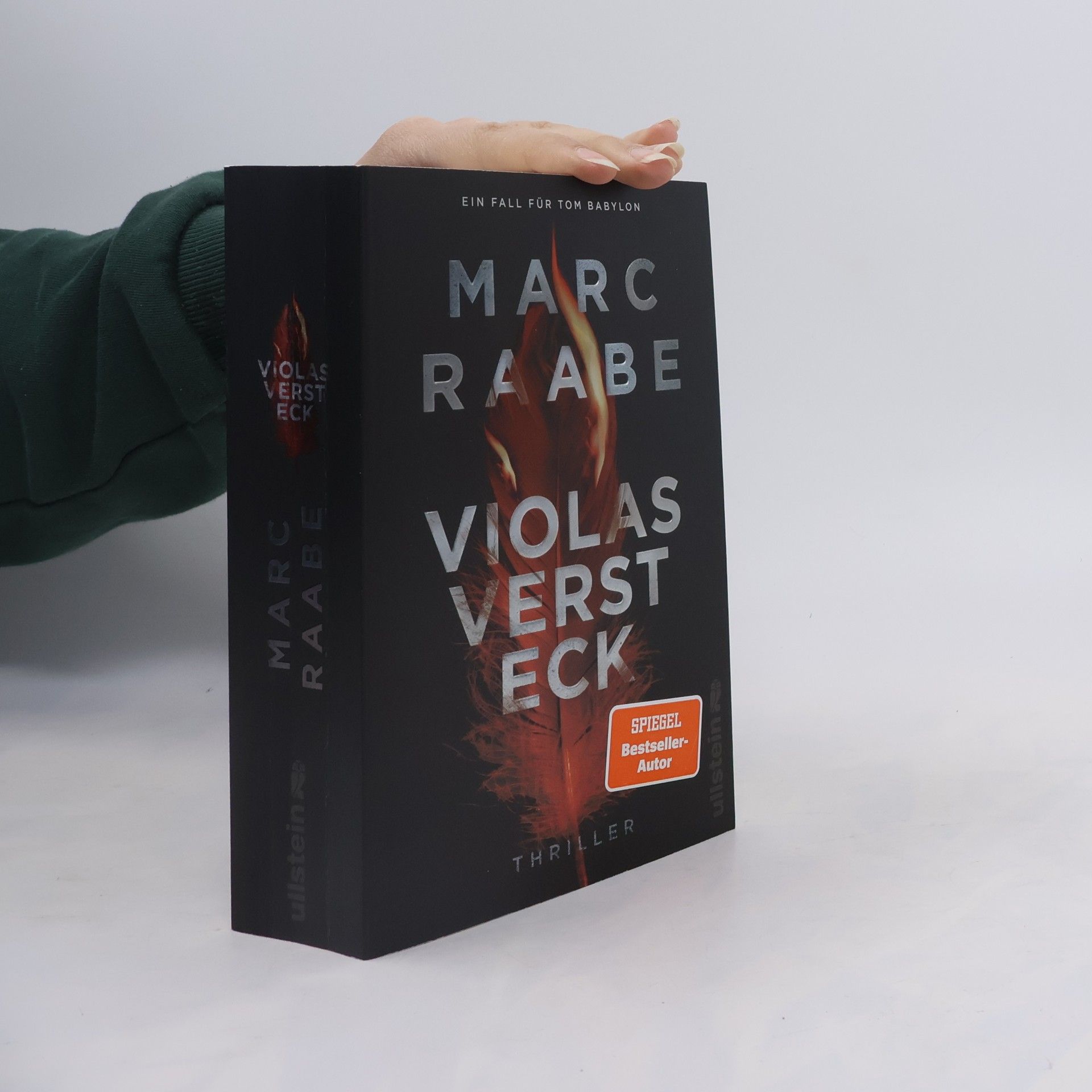 Marc Raabe Violas Versteck