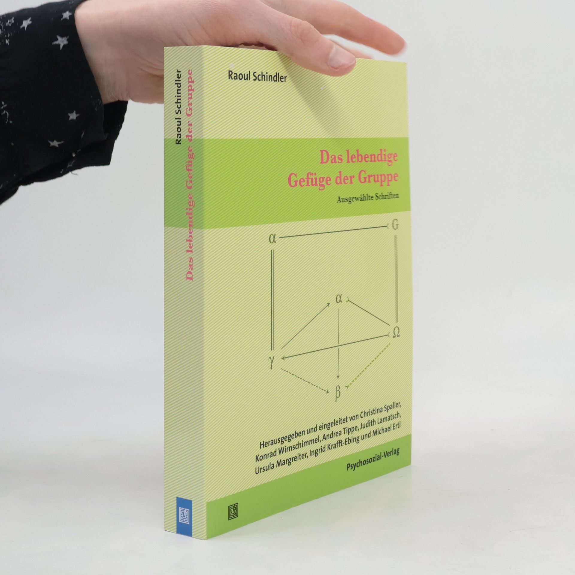 Raoul Schindler Das lebendige Gefüge der Gruppe