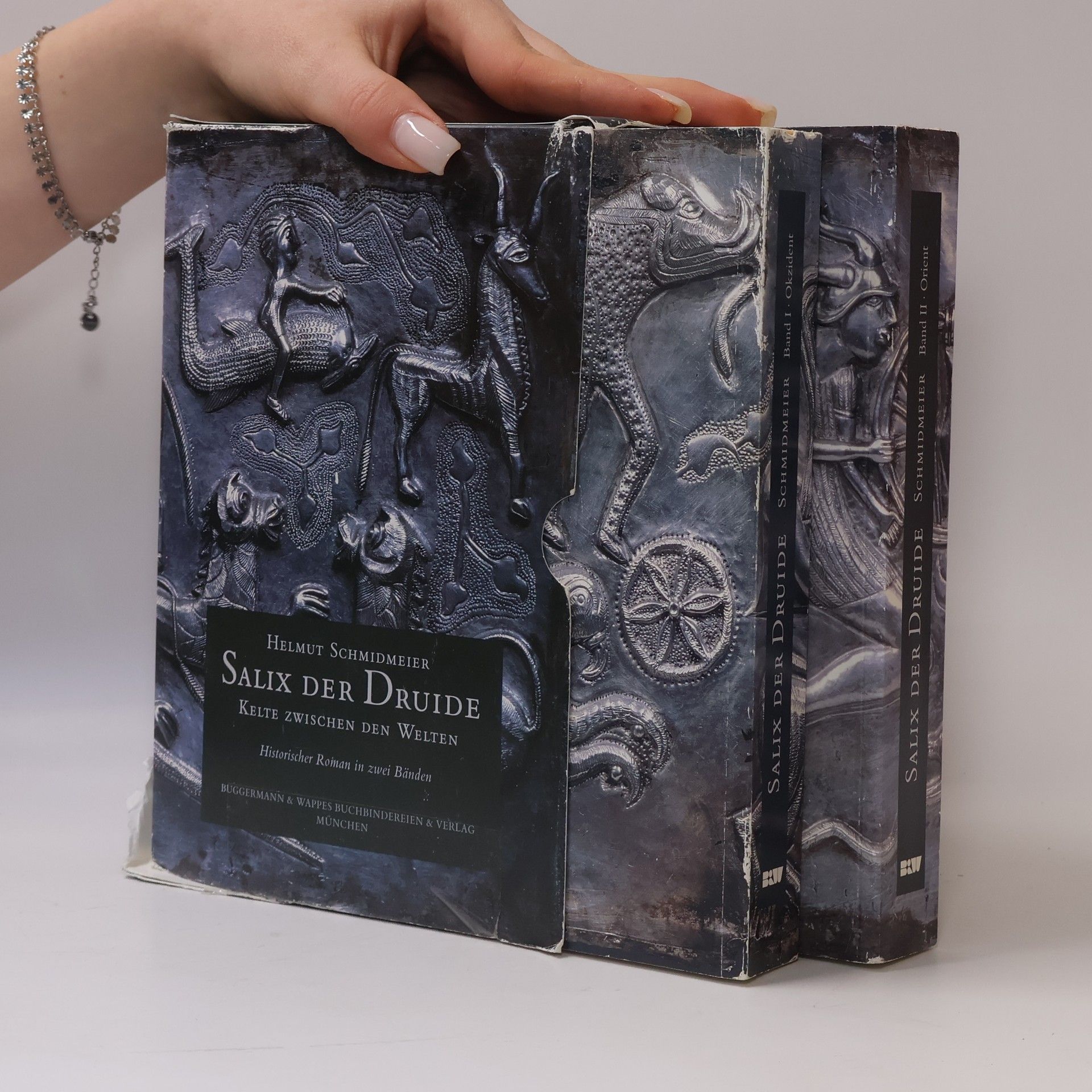 Helmut Schmidmeier Salix der Druide