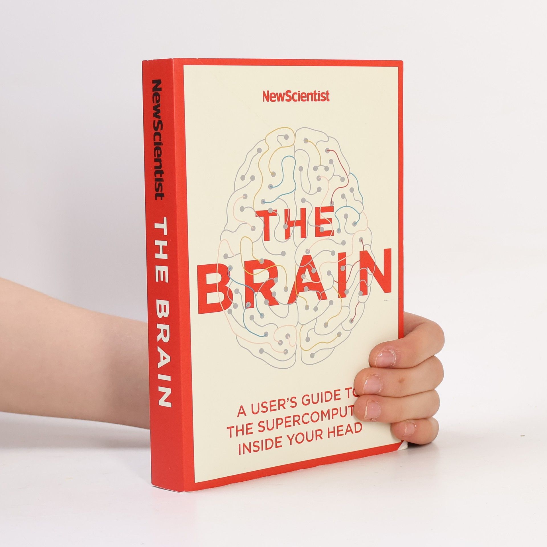 The Brain : Everything You Need to Know