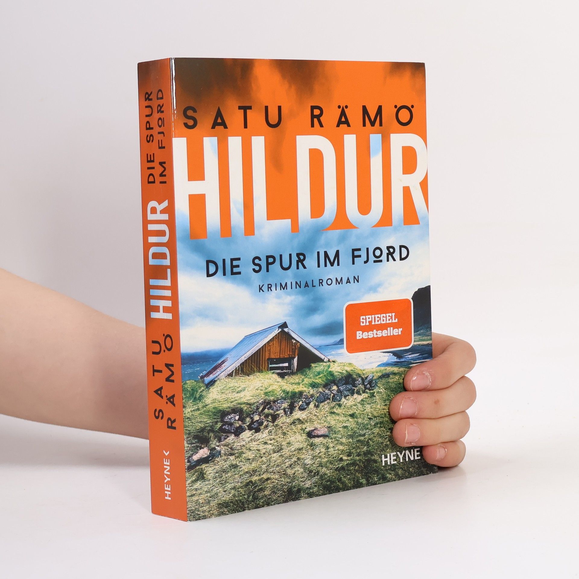 Satu Rämö Hildur. Die Spur im Fjord