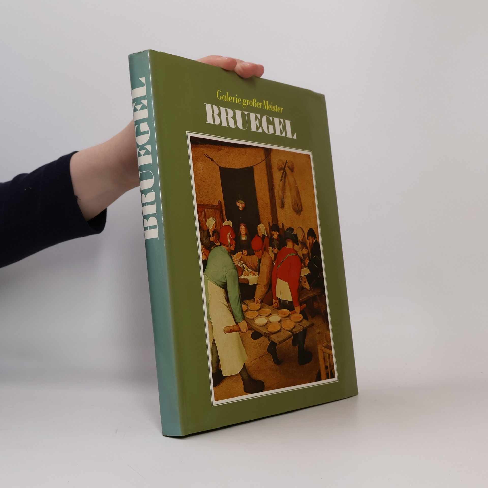Kolektiv autorů Galerie großer Meister Bruegel