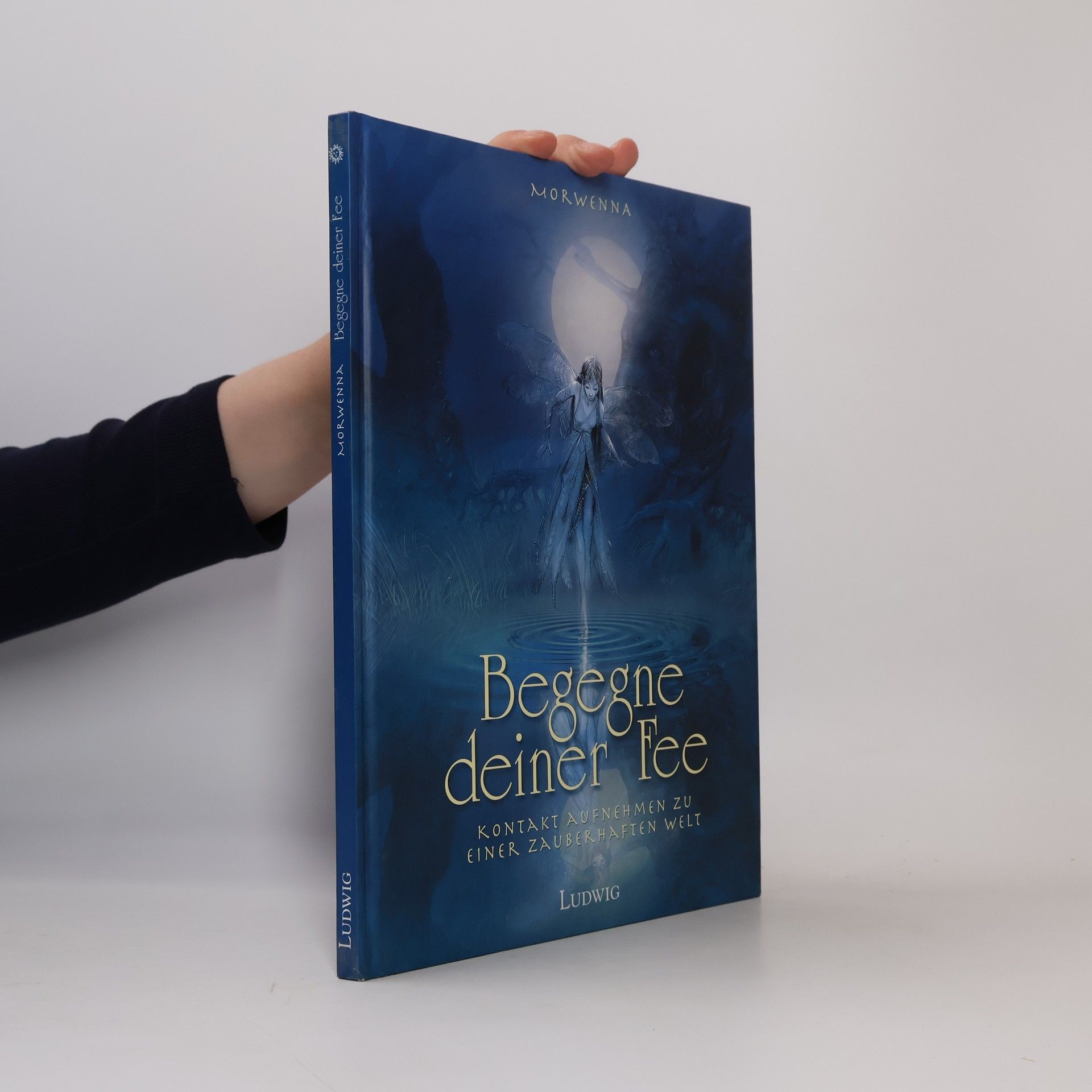 Morwenna Begegne deiner Fee