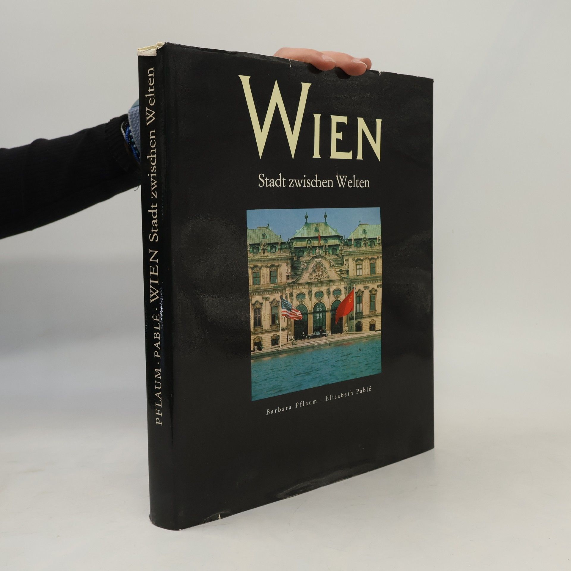 Wien. Stadt zwischen Welten
