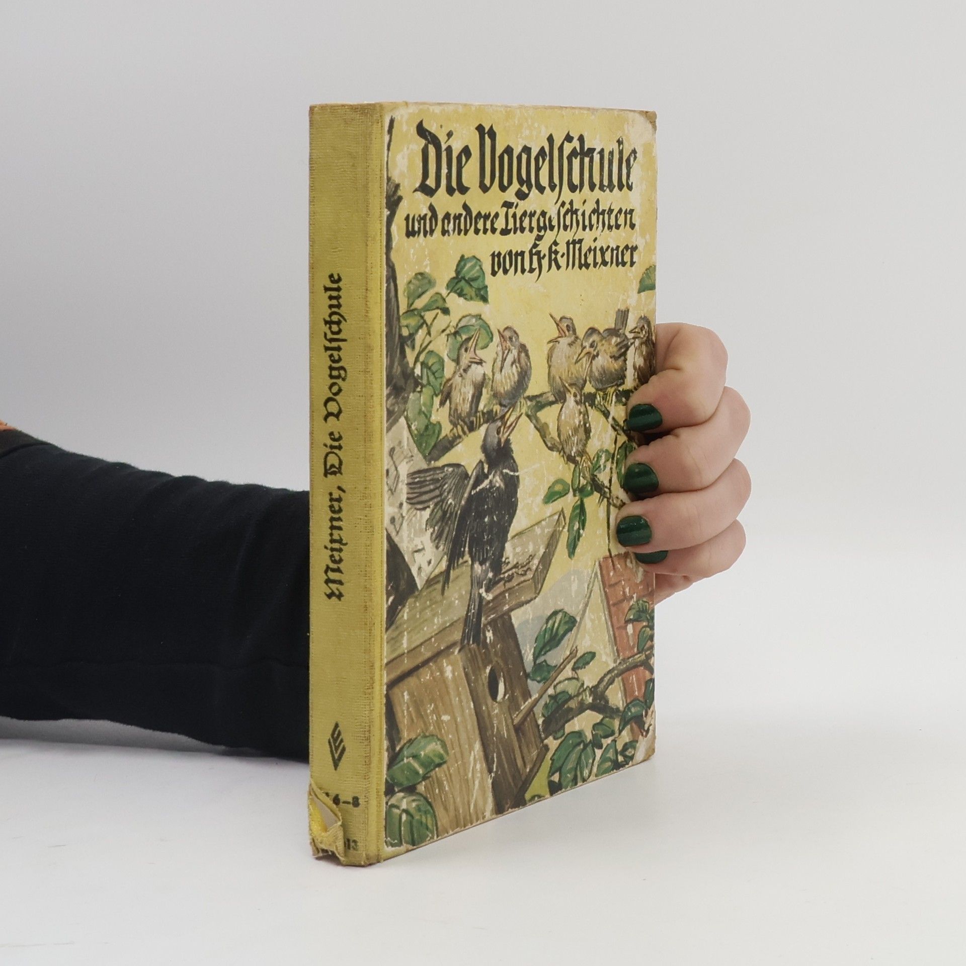 Die Vogelschule und andere Tiergeschichten