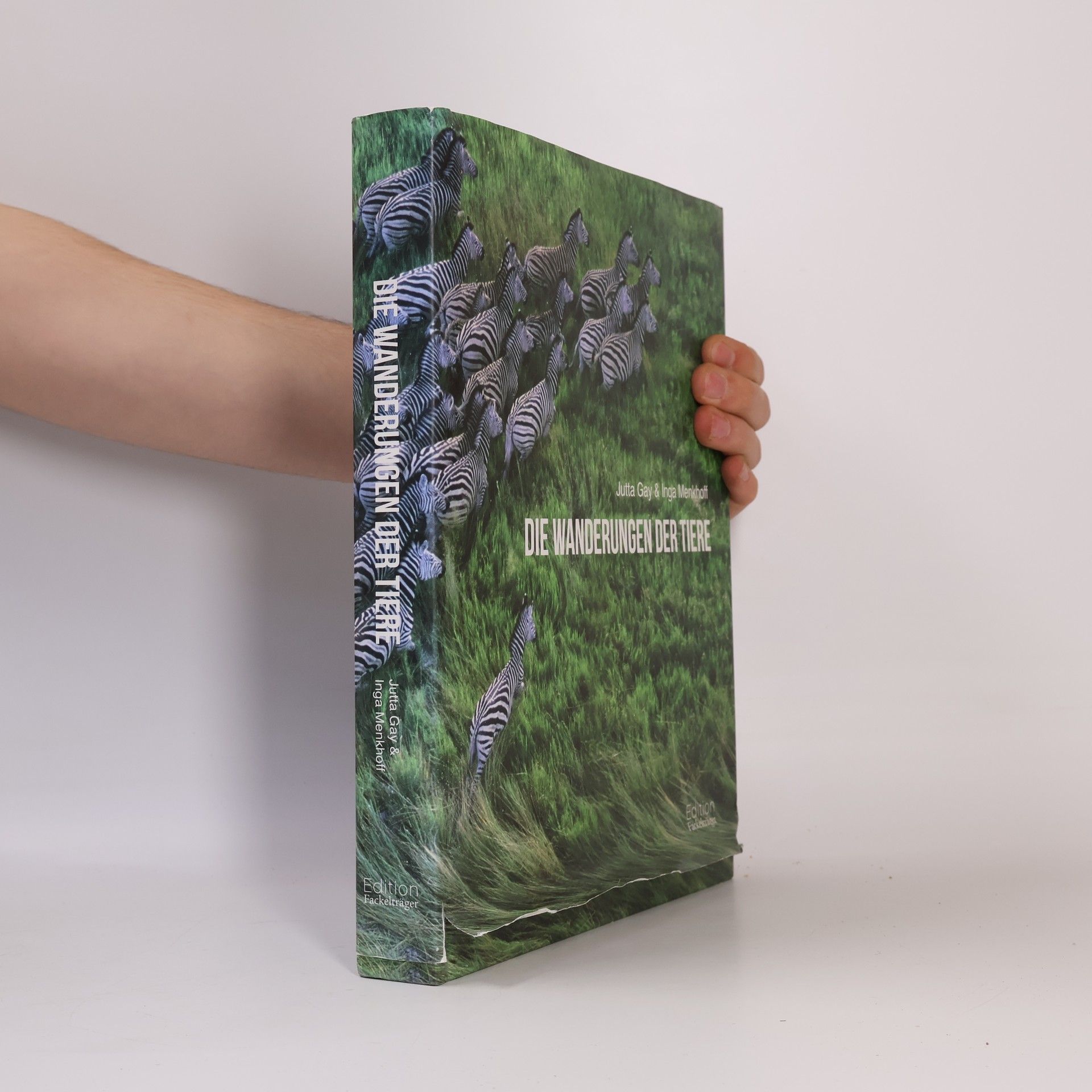 Jutta Gay Die Wanderungen der Tiere