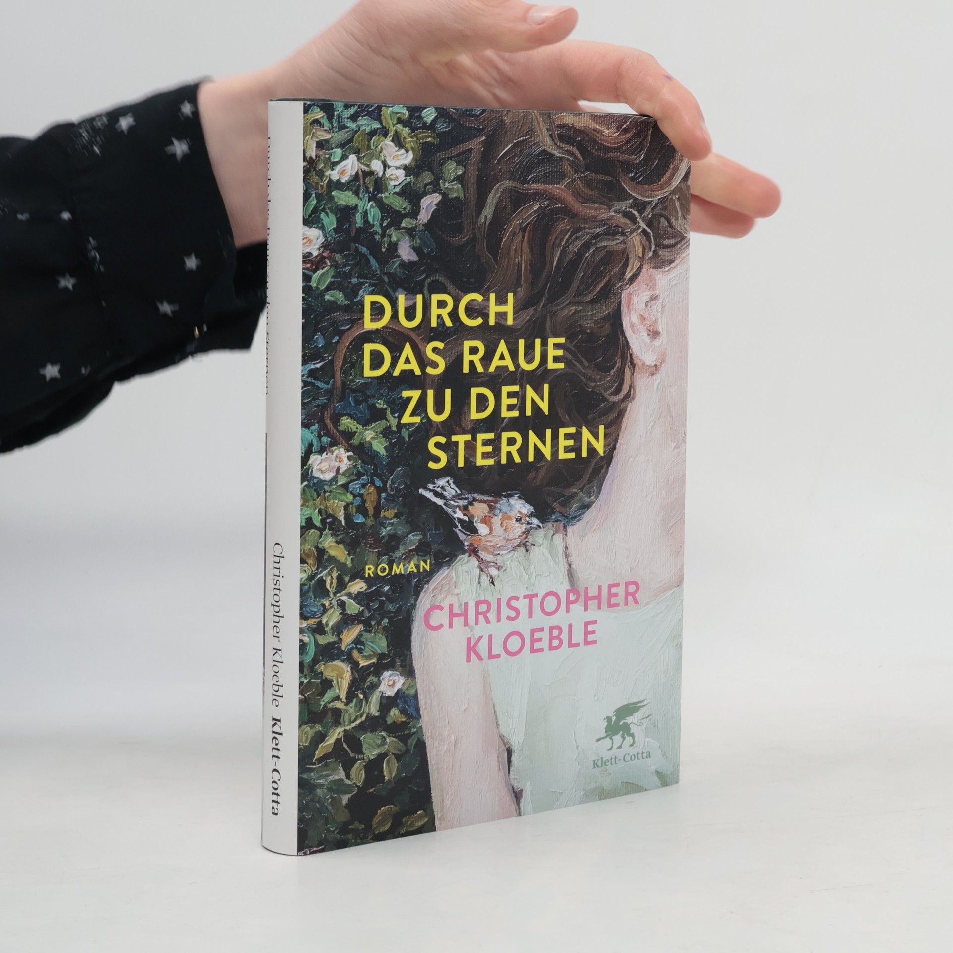 Durch das Raue zu den Sternen