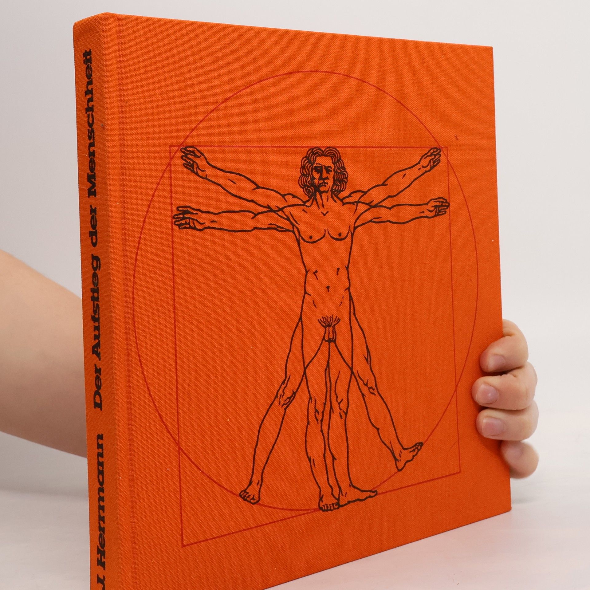 Der Aufstieg der Menschheit zwischen Naturgeschichte und Weltgeschichte