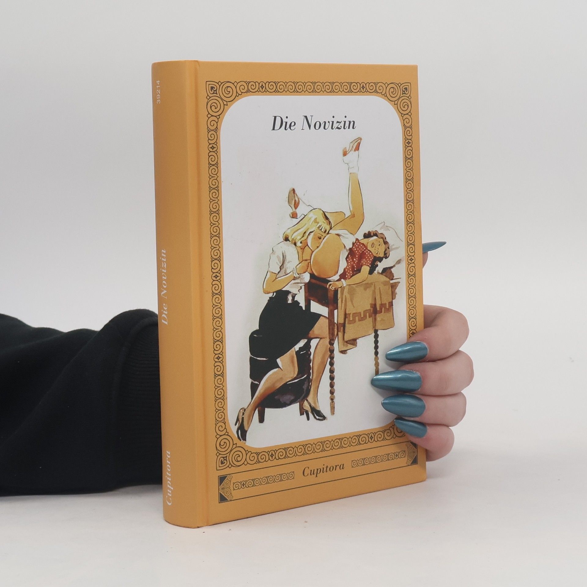 Kolektiv autorů Die Novizin