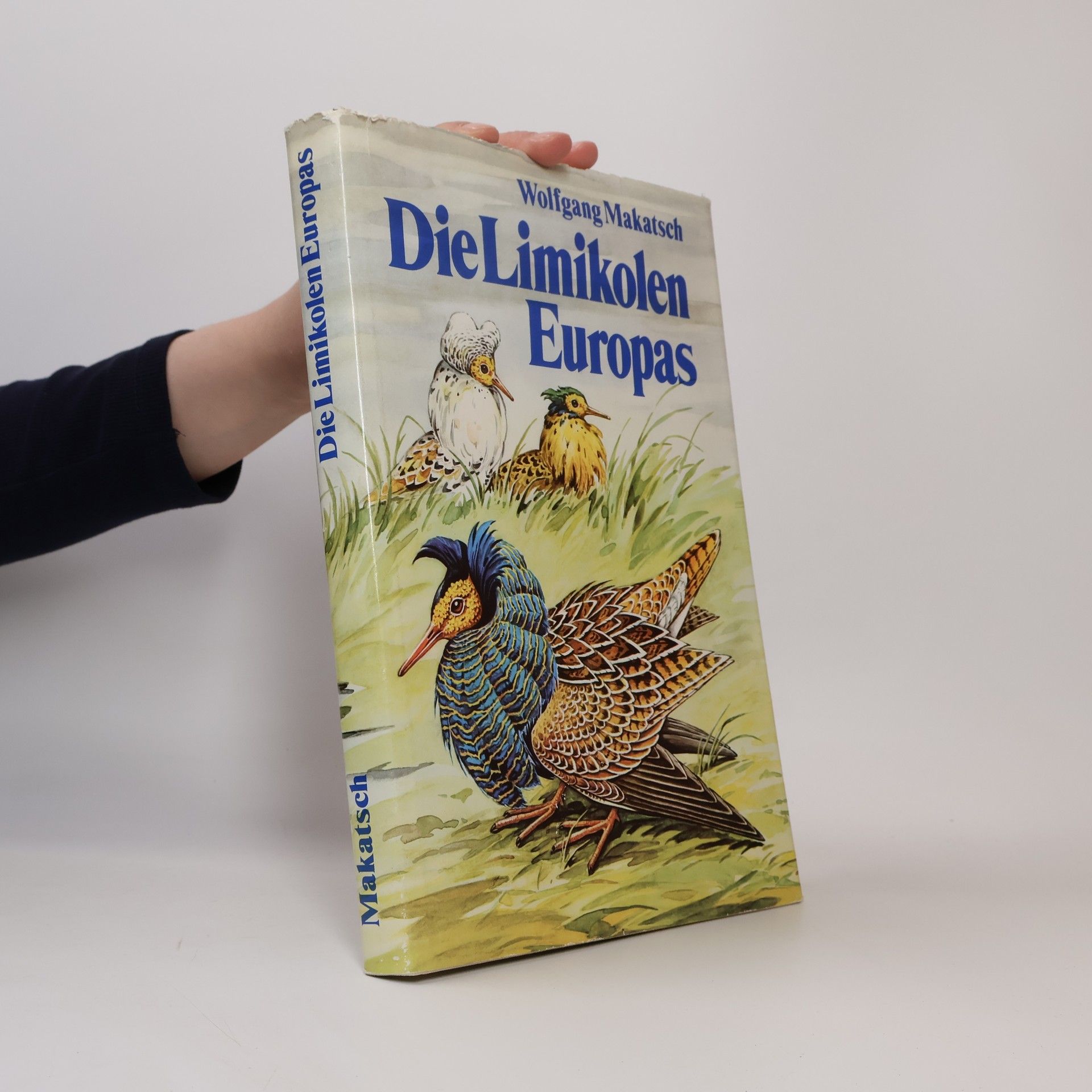 Wolfgang Makatsch Die Limikolen Europas