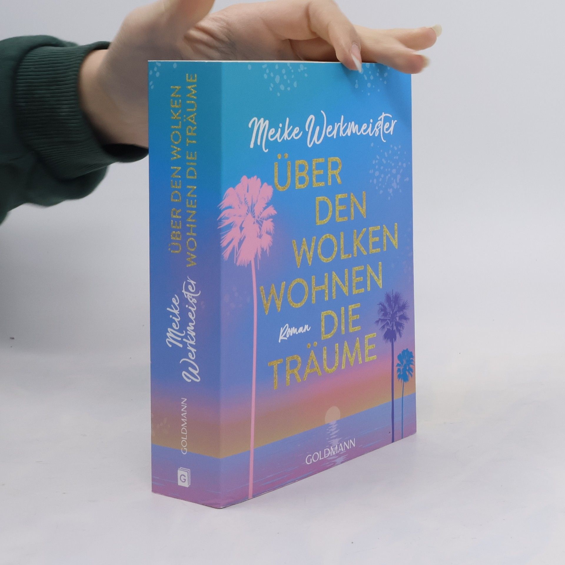 Meike Werkmeister Über den Wolken wohnen die Träume