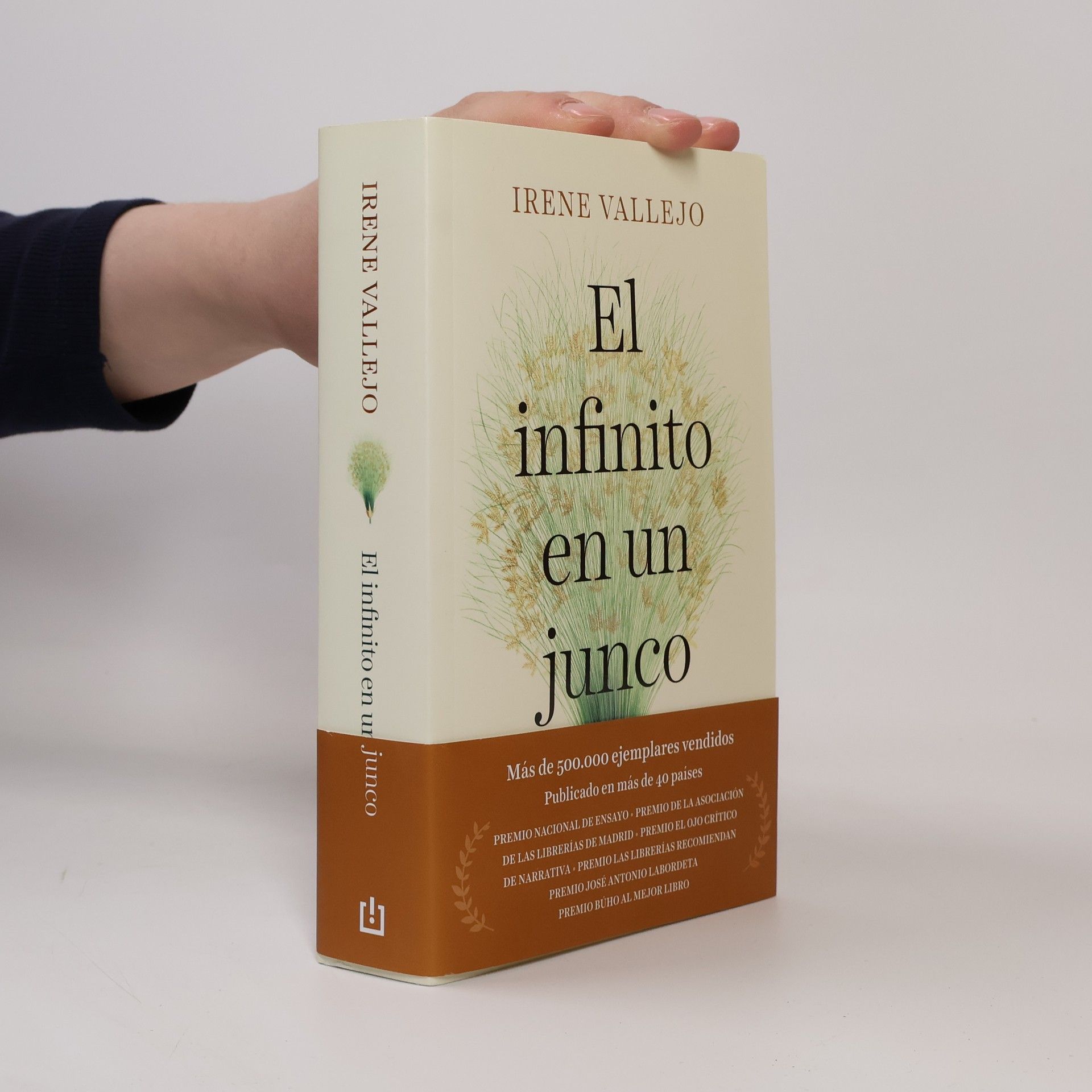 El infinito en un junco