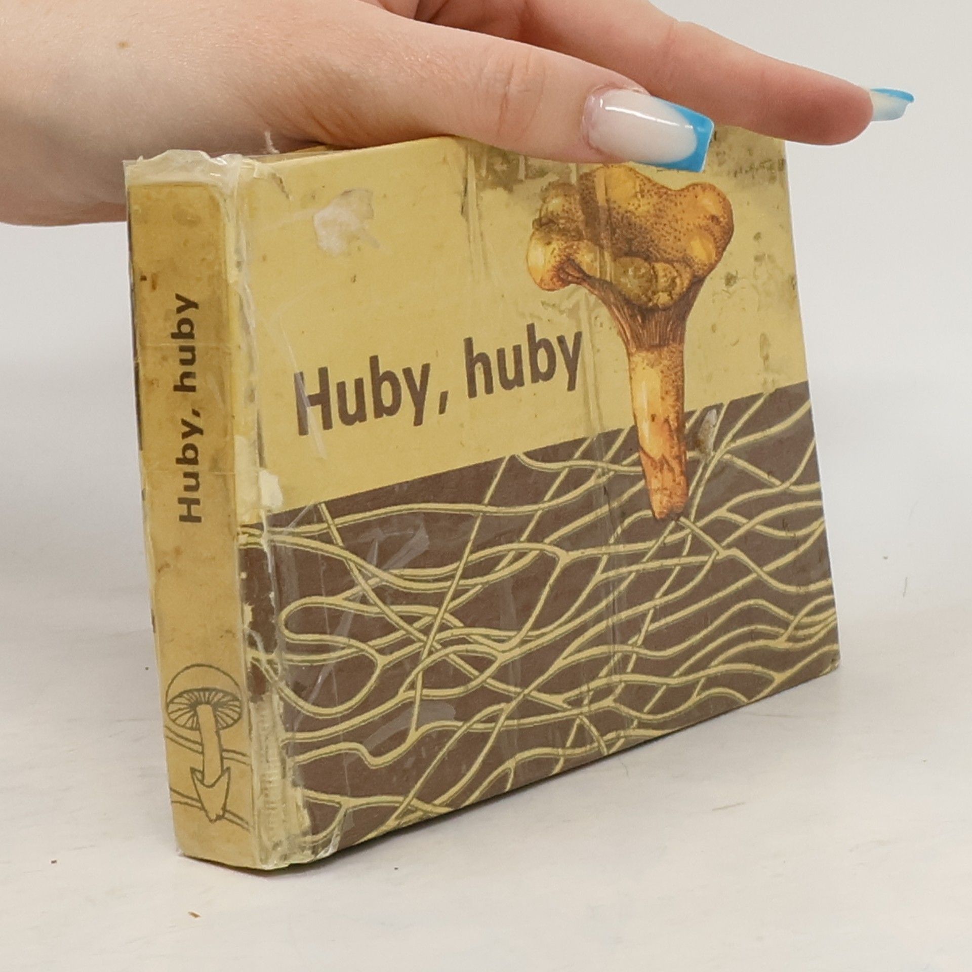 Martin Červenka Huby, huby