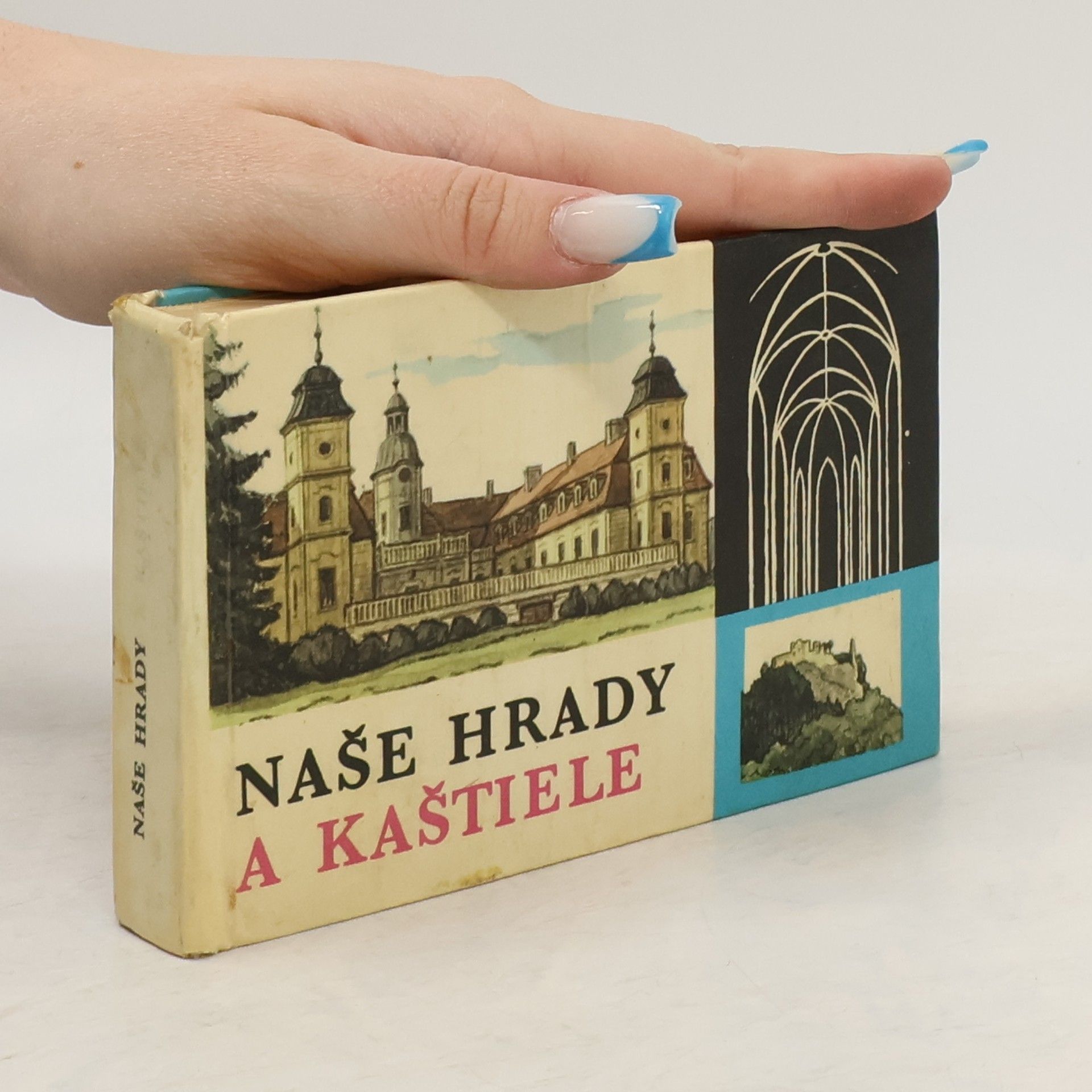 Štefan Pisoň Naše hrady a kaštiele