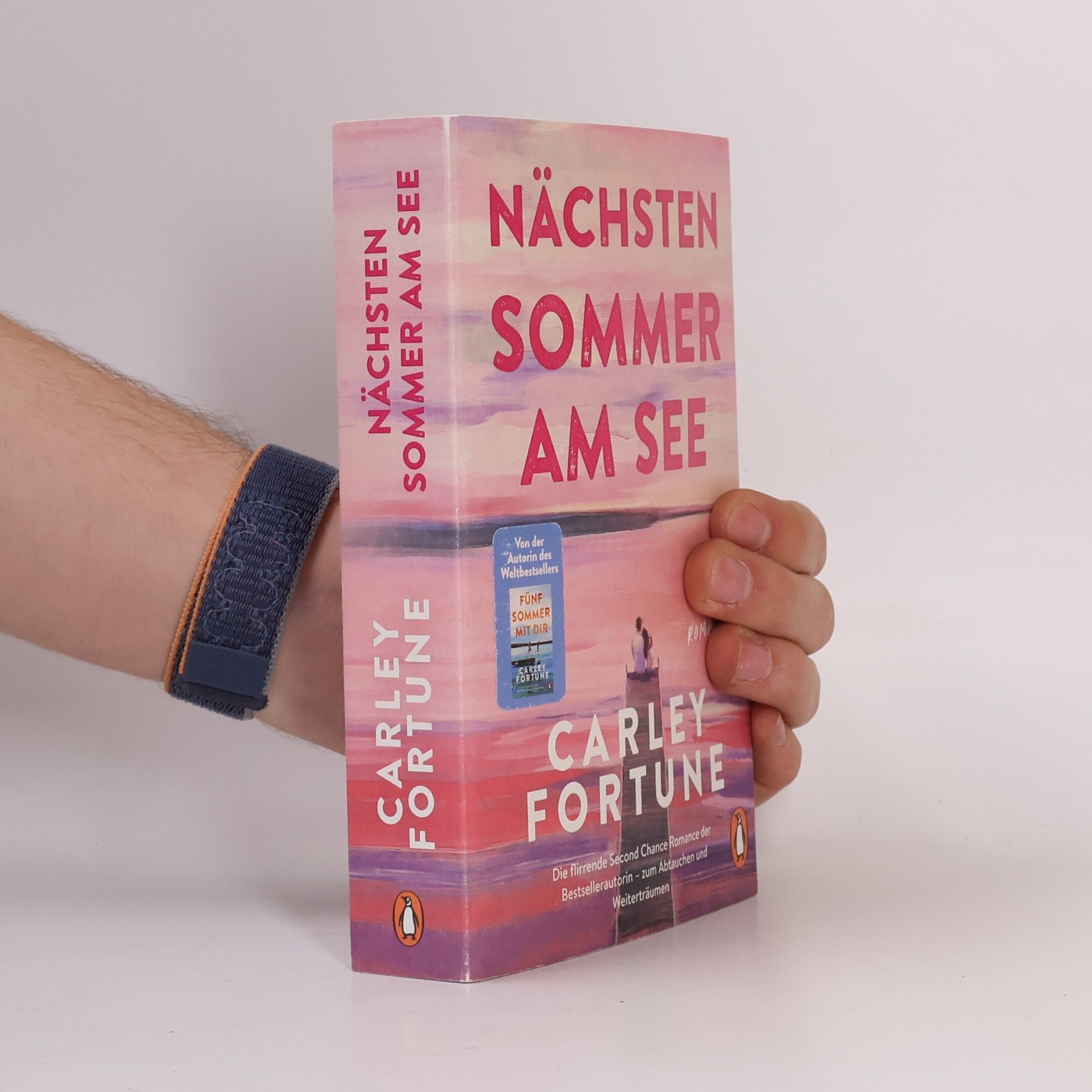 Carley Fortune Nächsten Sommer am See