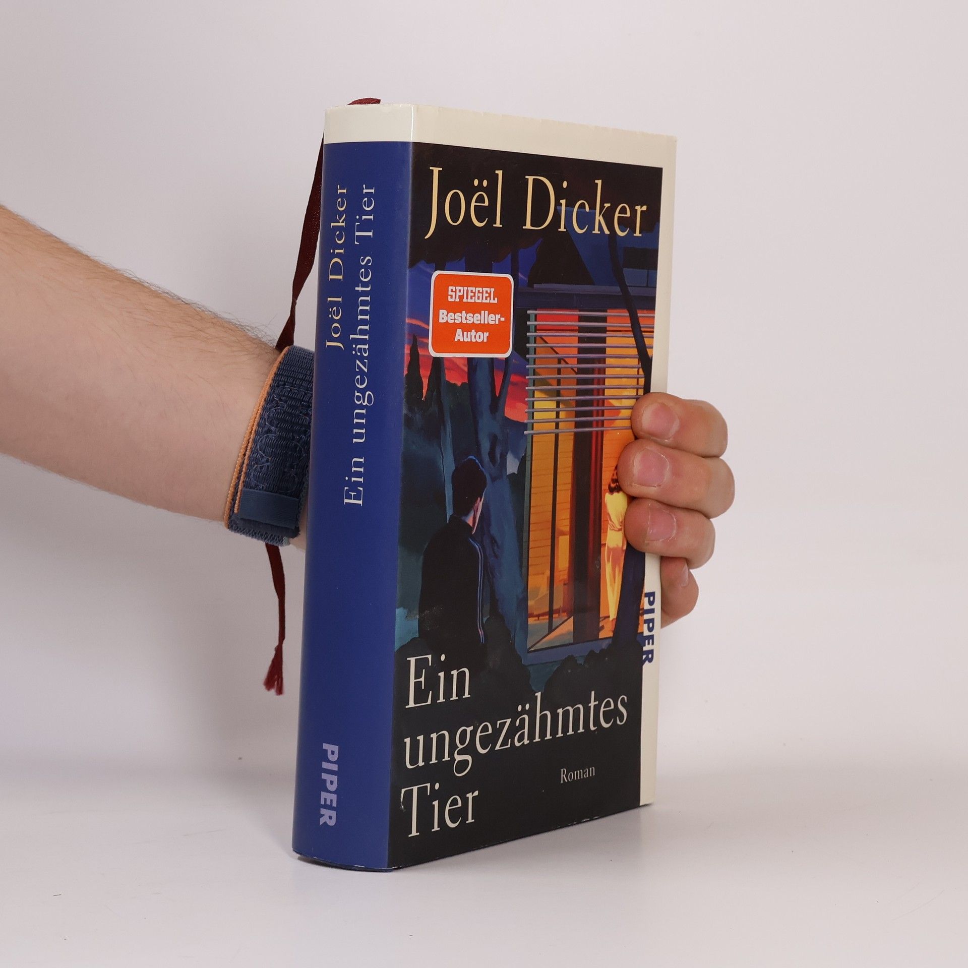 Joël Dicker Ein ungezähmtes Tier