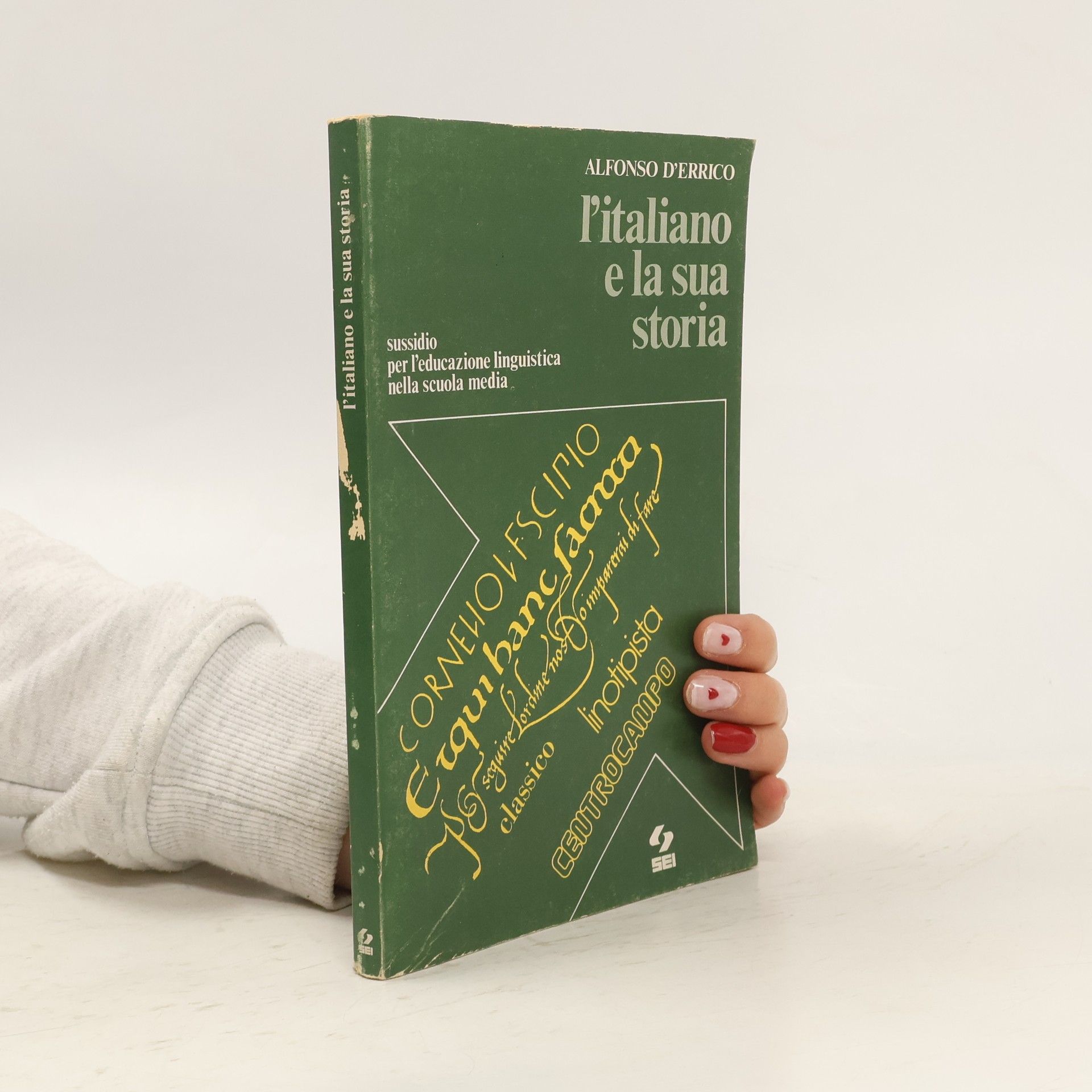 Alfonso d'Errico L'italiano e la sua storia