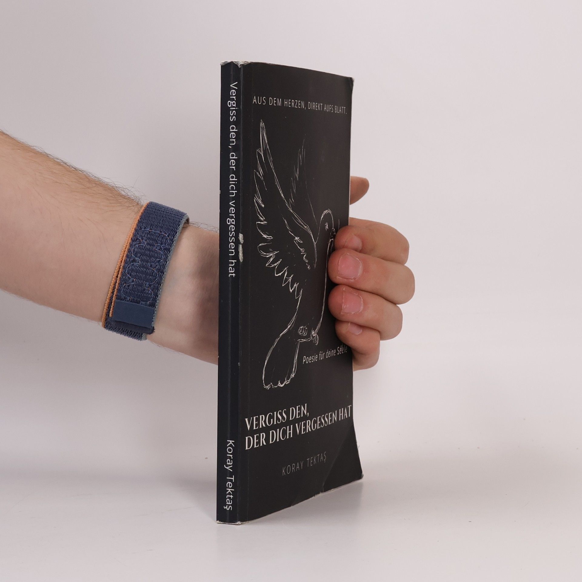 Koray Tektas Vergiss den, der dich vergessen hat