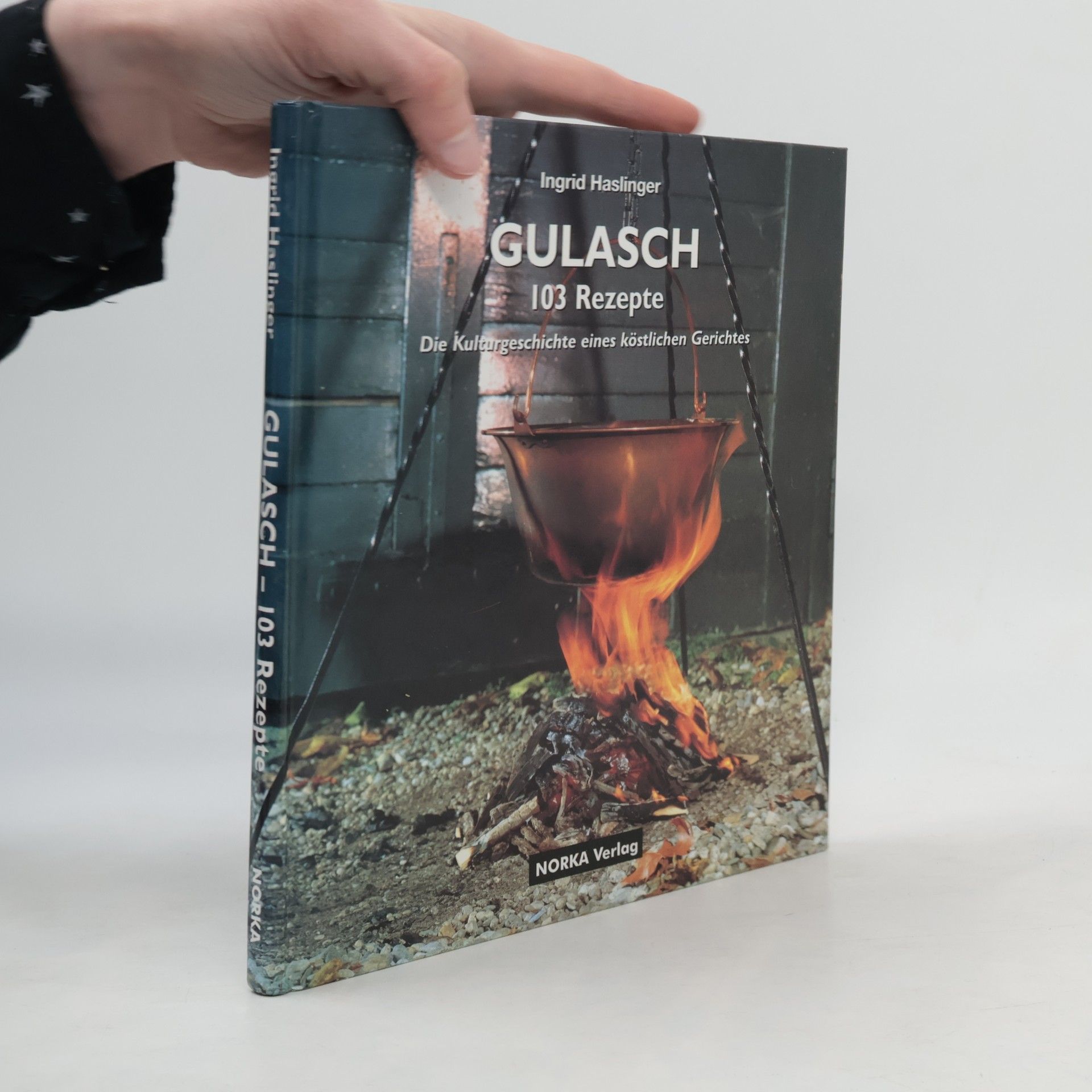 Ingrid Haslinger Gulasch-Kochbuch