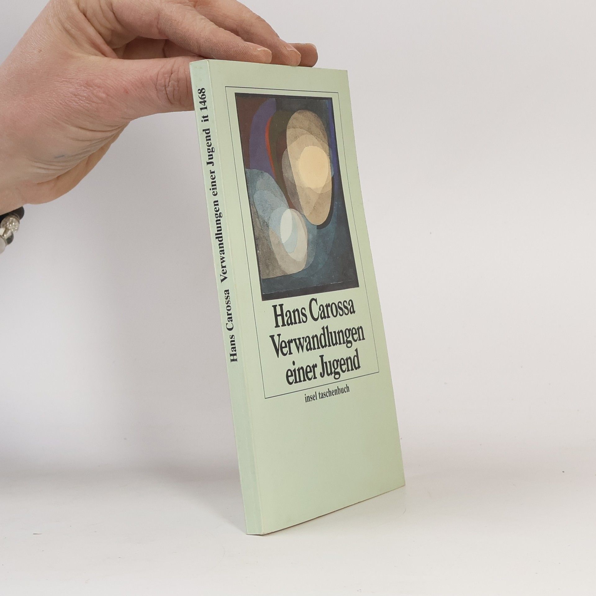 Insel Taschenbuch - 1468: Verwandlungen einer Jugend