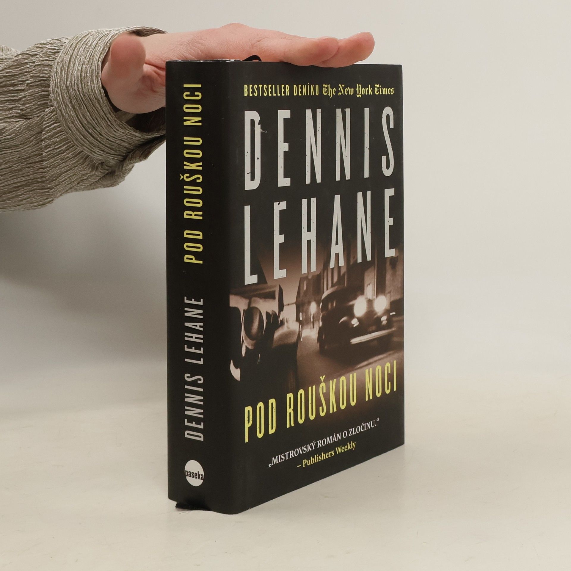 Dennis Lehane Pod rouškou noci