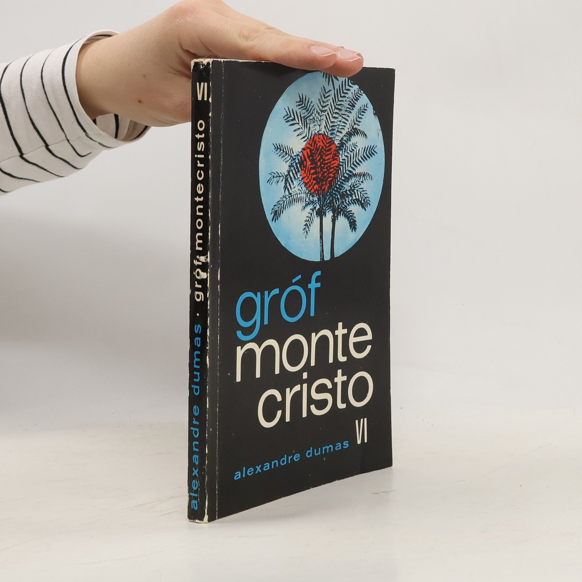 Alexandre Dumas der Ältere Gróf Monte Cristo VI