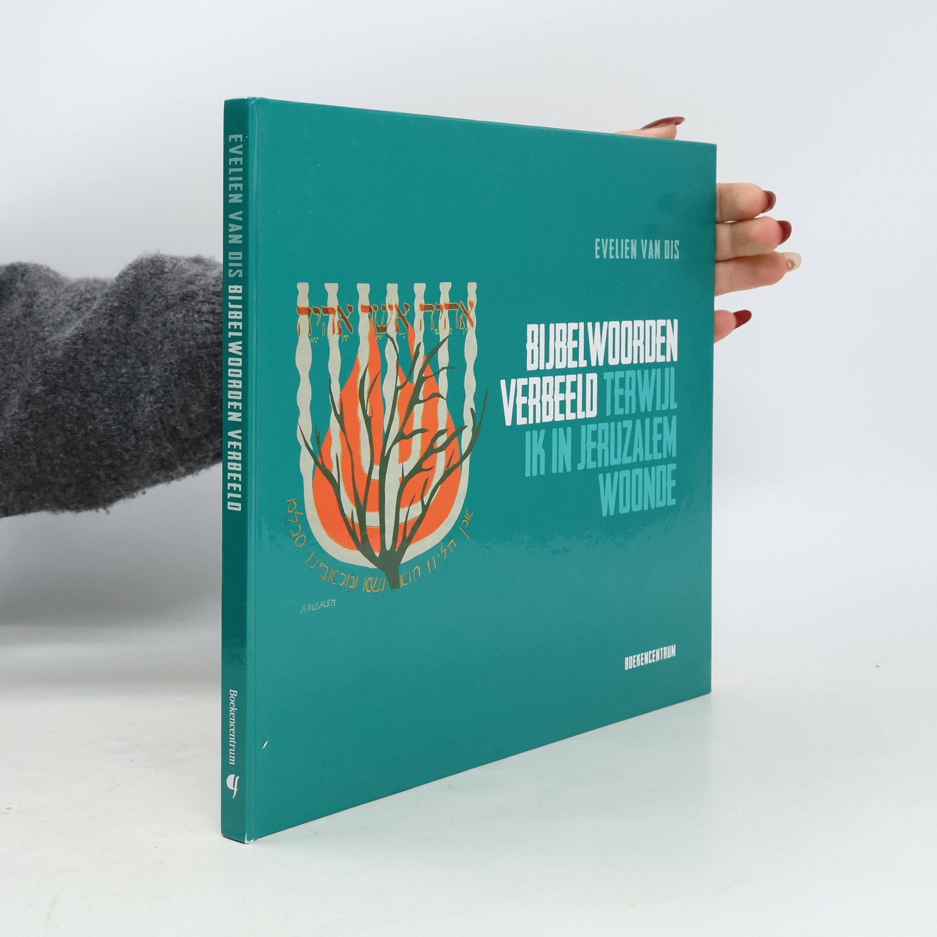 Evelien van Dis Bijbelwoorden verbeeld