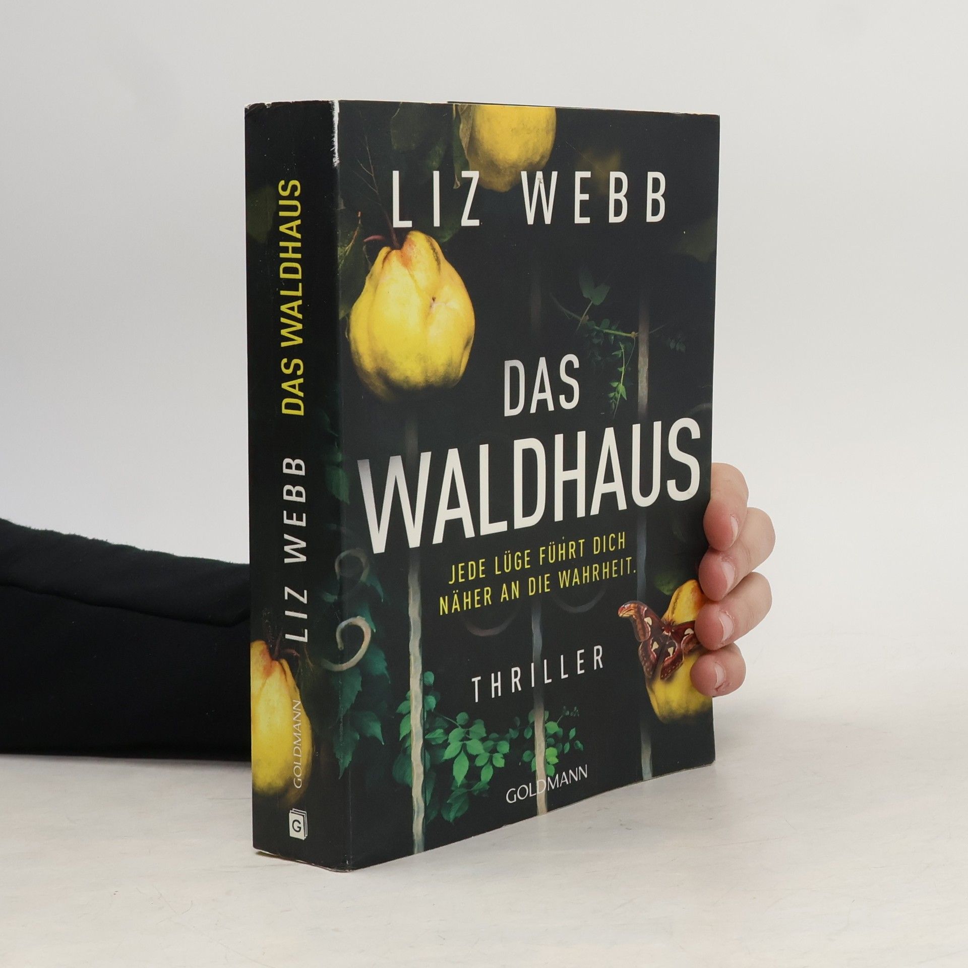 Liz Webb Das Waldhaus