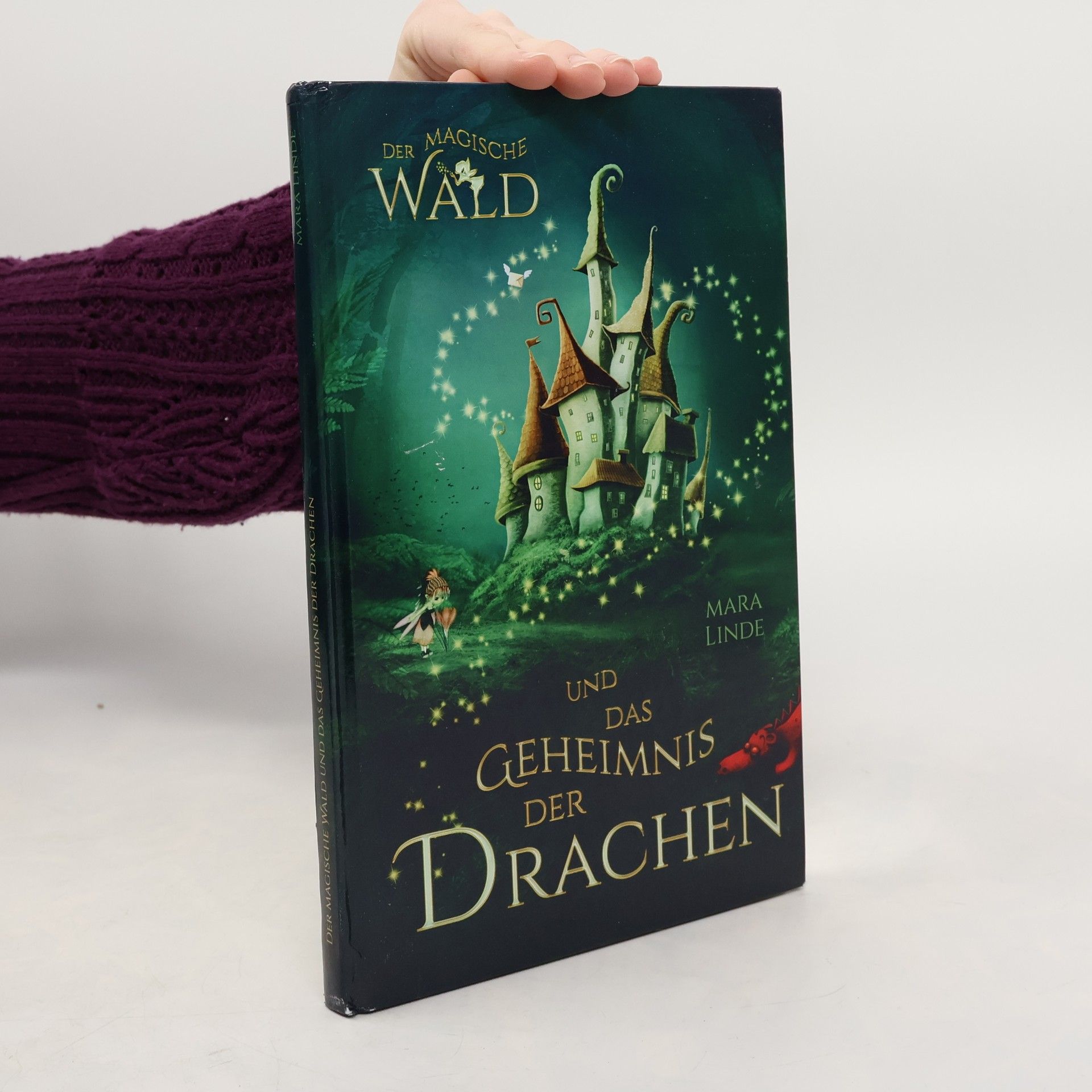Mara Linde Der magische Wald und das Geheimnis der Drachen