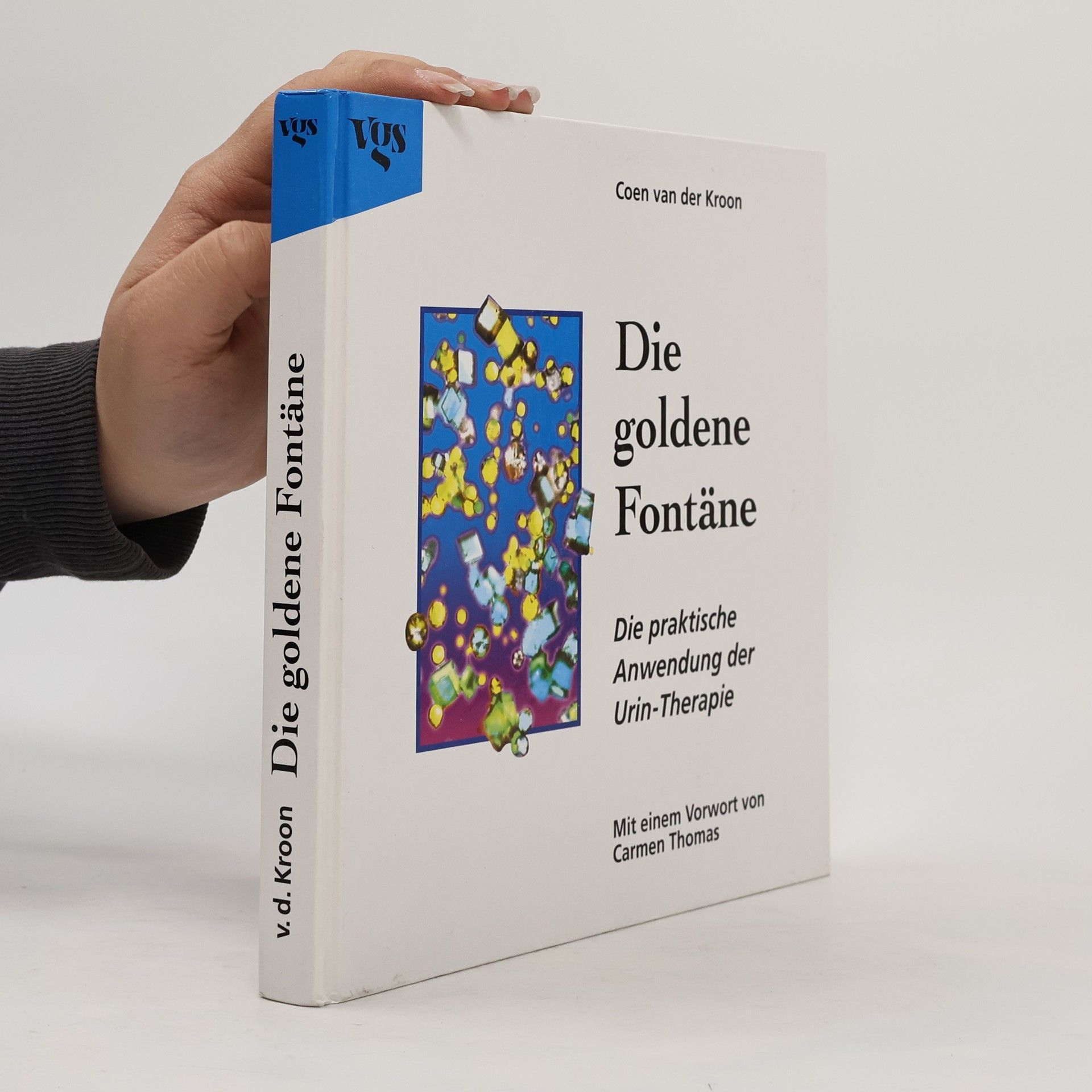 Coen Van der Kroon Die goldene Fontäne