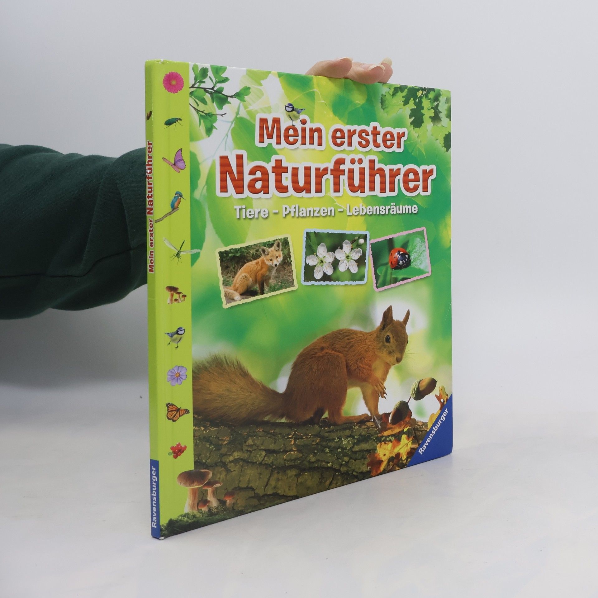 Angelika Lenz Mein erster Naturführer