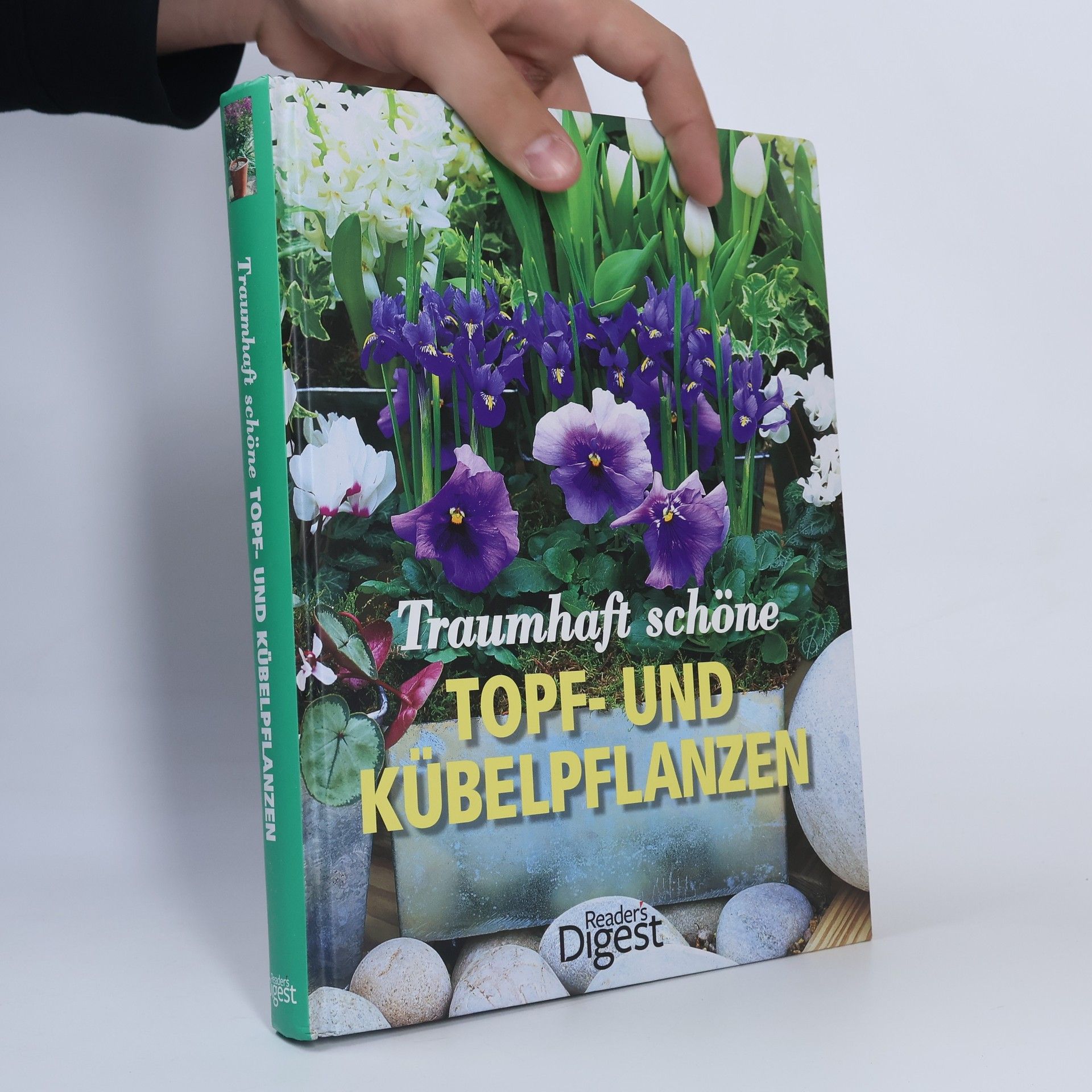 Stefanie Burkhardt-Sischka Traumhaft schöne Topf- und Kübelpflanzen