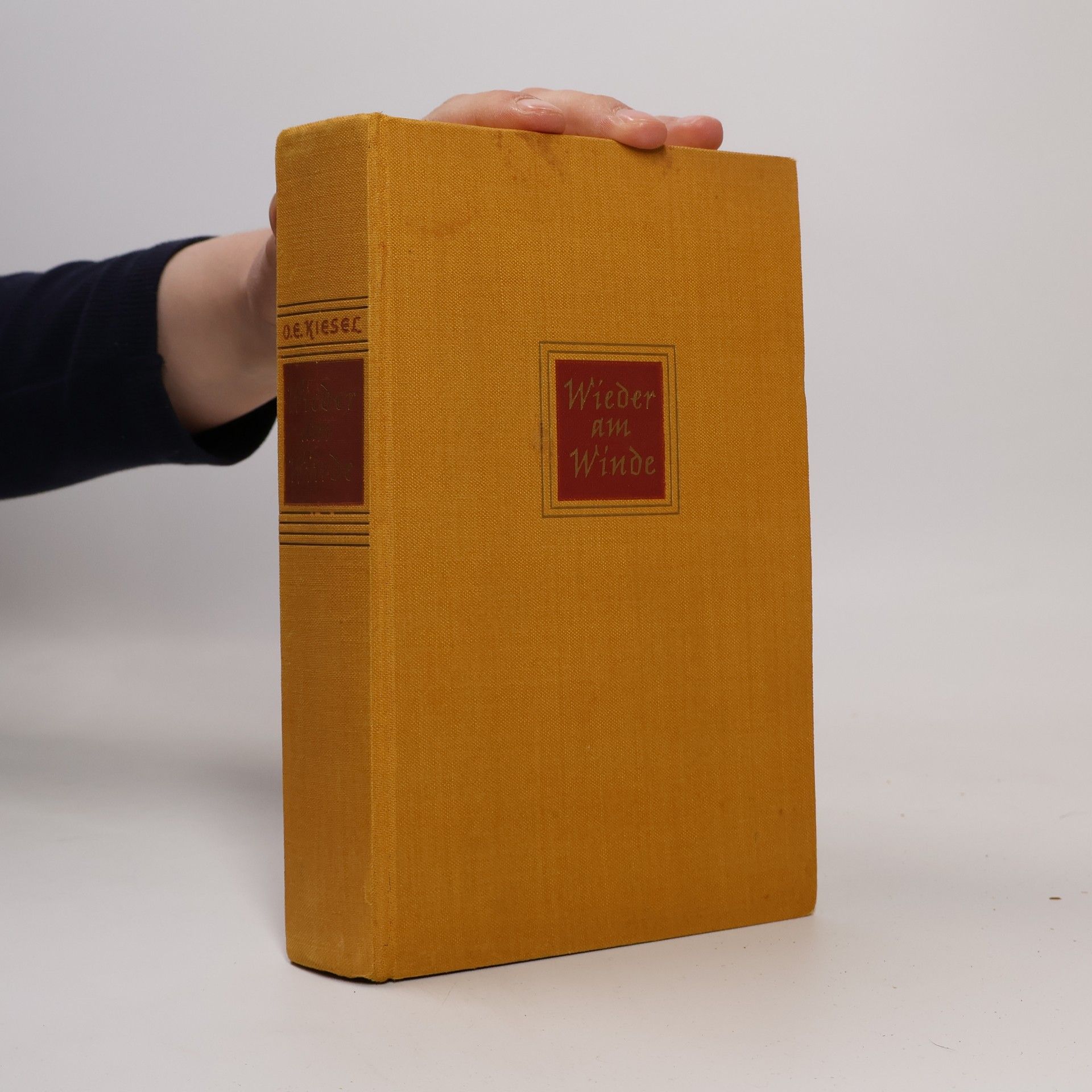 Autores varios Wieder am Winde