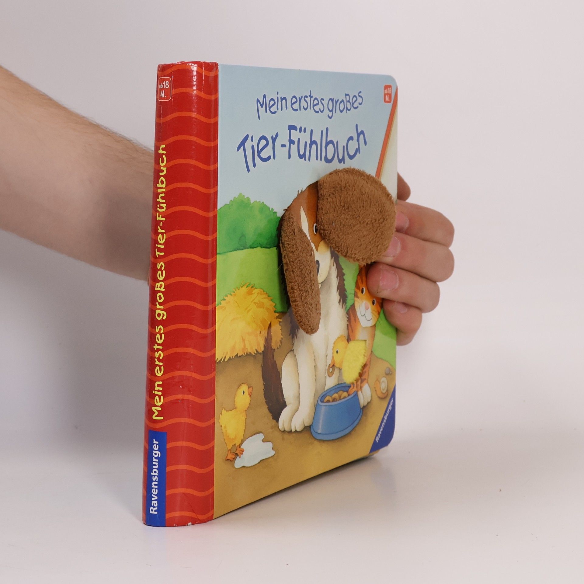 Monika Neubacher Fesser Mein erstes großes Tier-Fühlbuch