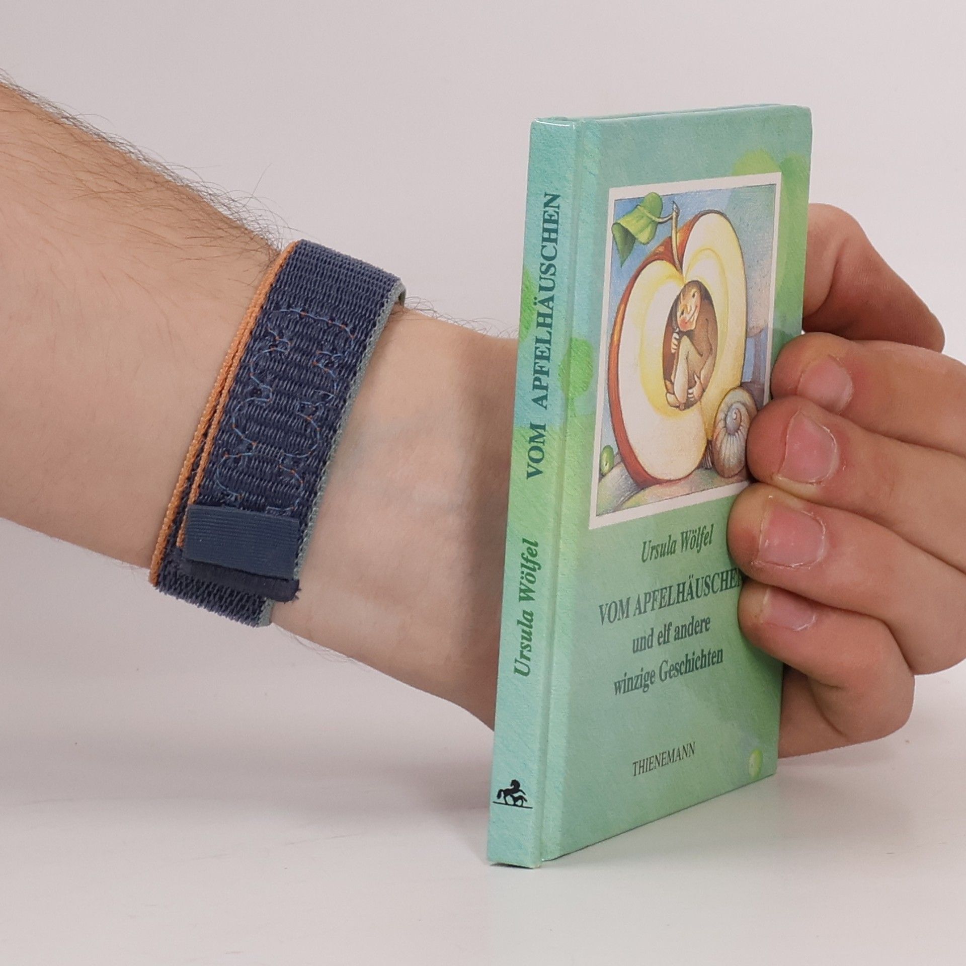 Ursula Wölfel Vom Apfelhäuschen und elf andere winzige Geschichten