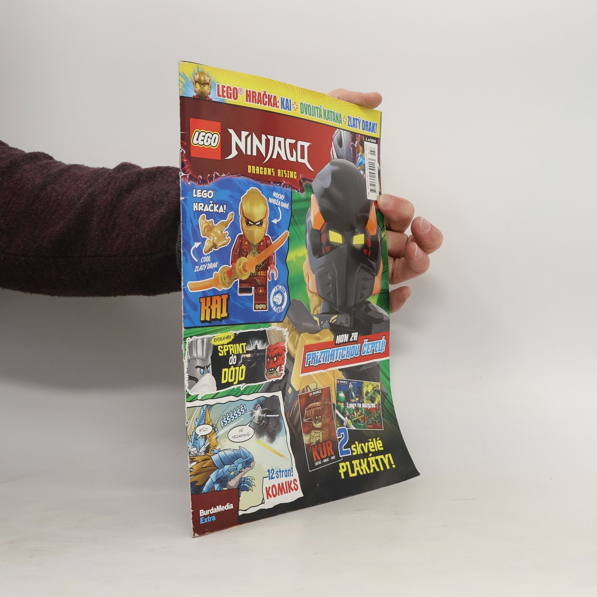 Various authors LEGO Ninjago 6