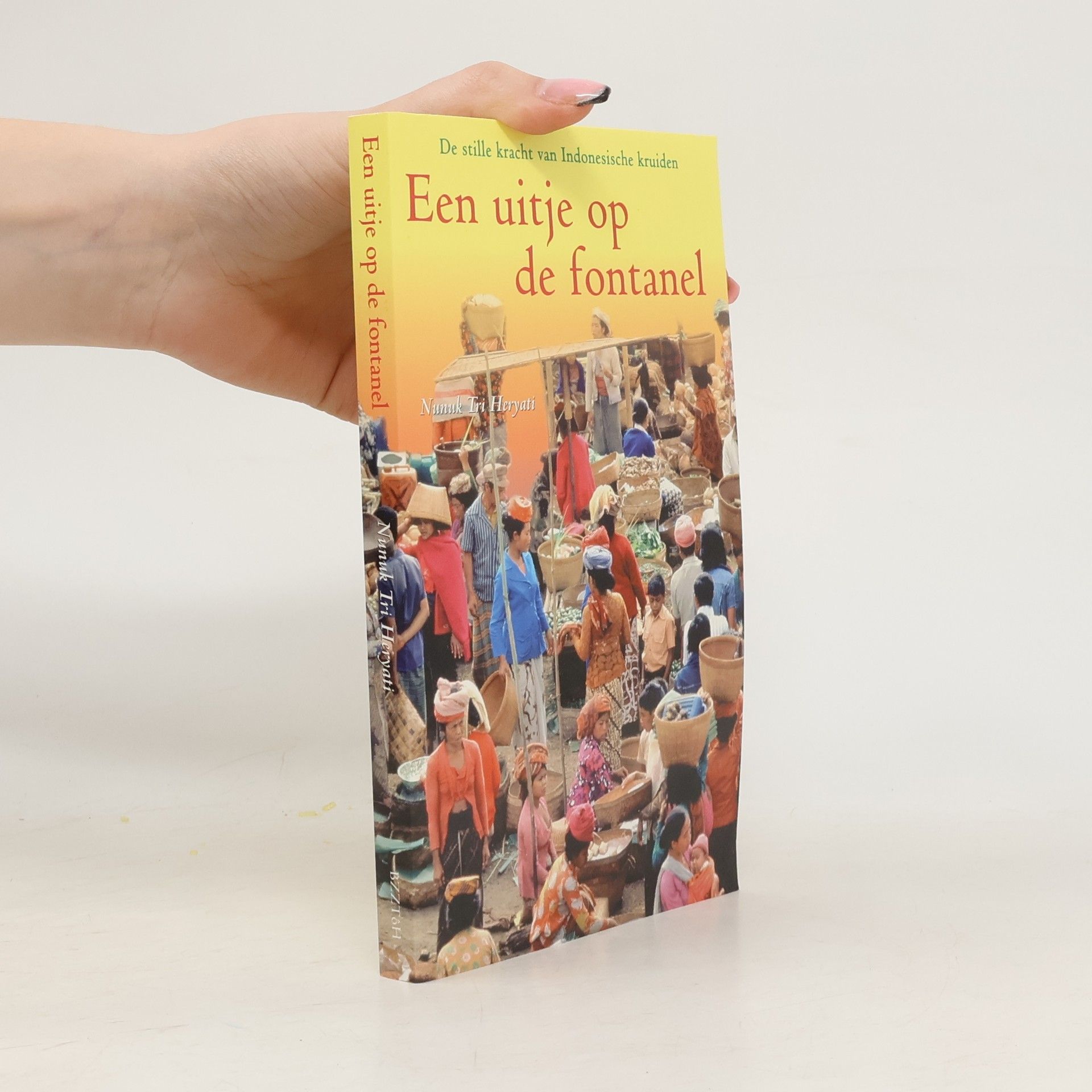 Nunuk Tri Heryati Een uitje op de fontanel